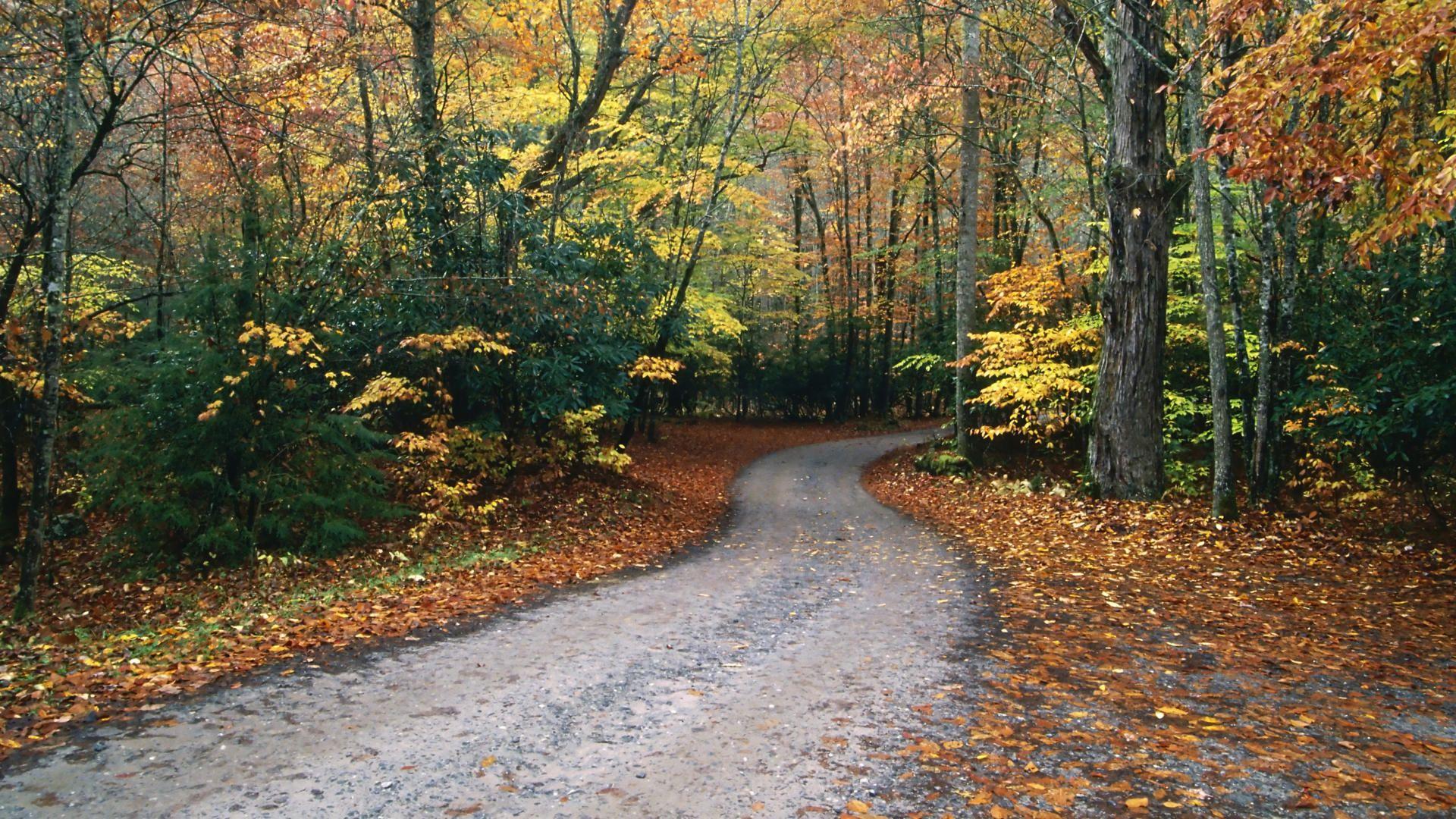 1920x1080 North Carolina Desktop Wallpaper .