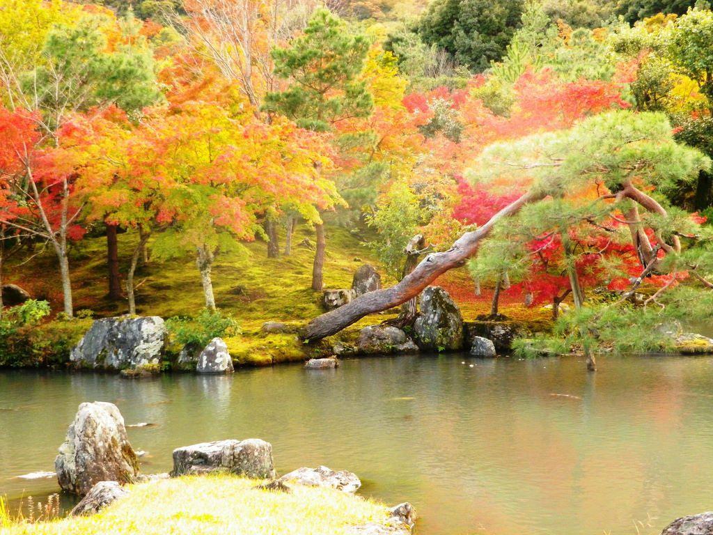 1024x768 Half Day Itinerary In Arashiyama itinerary to Kyoto