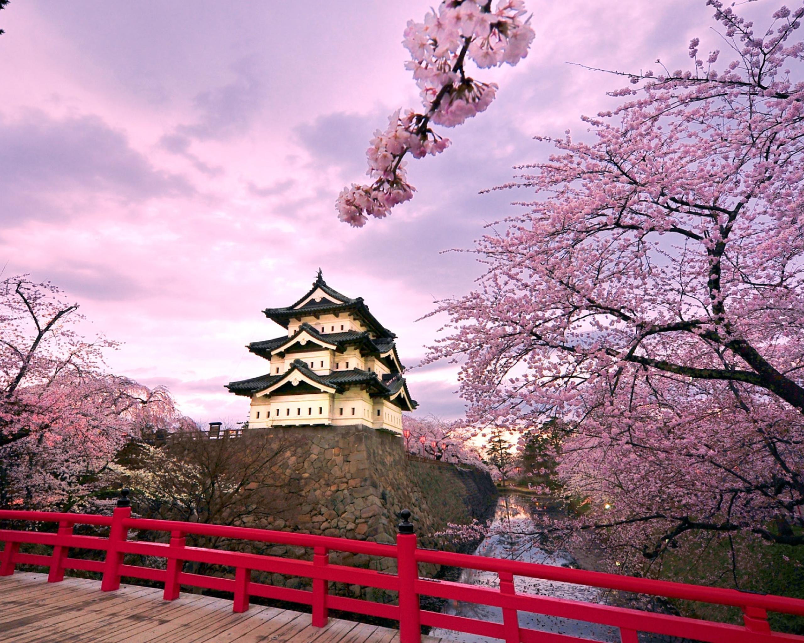 2560x2048 Japan Nature