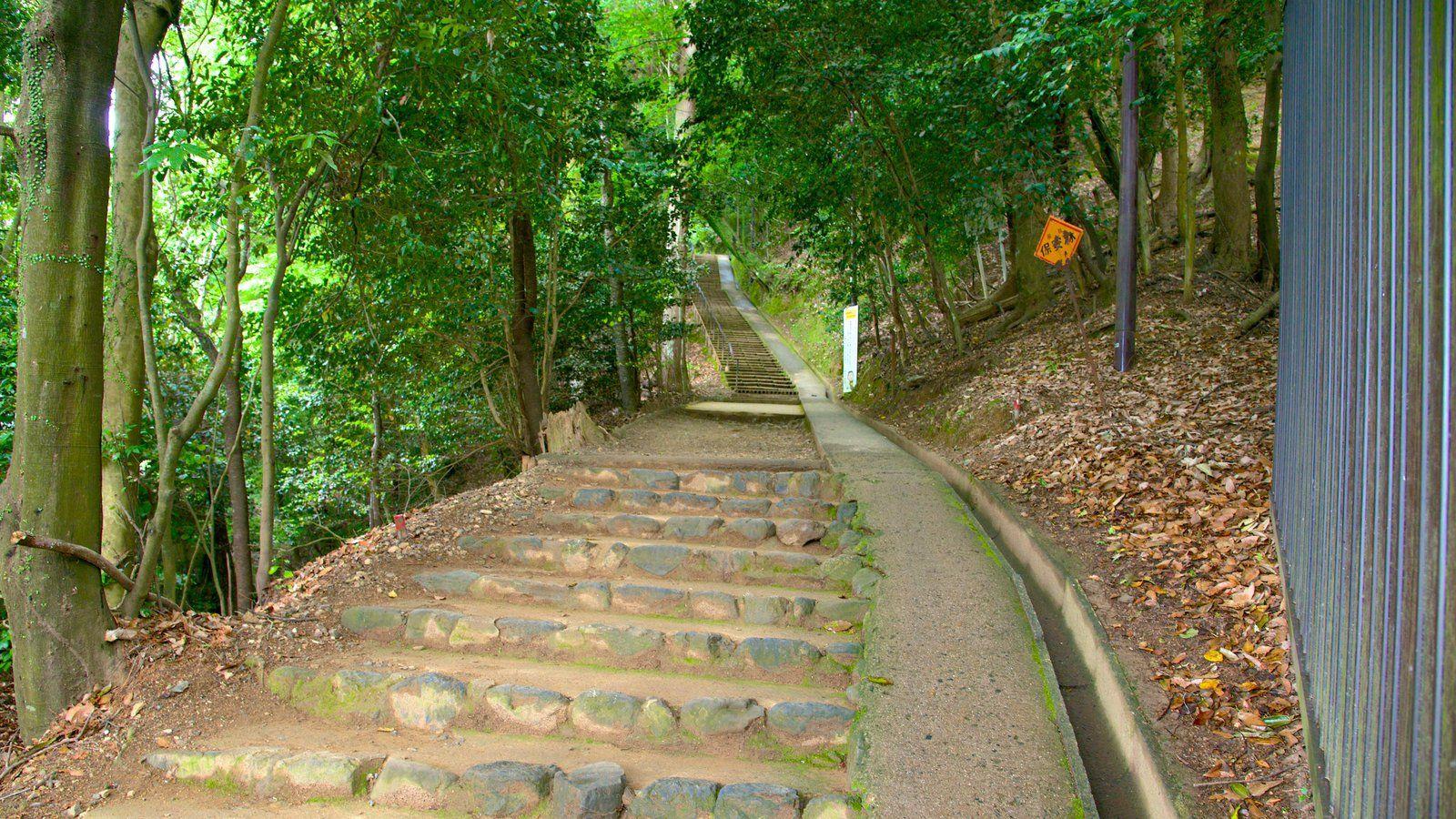 1600x900 Arashiyama Monkey Park picture: View photo and image