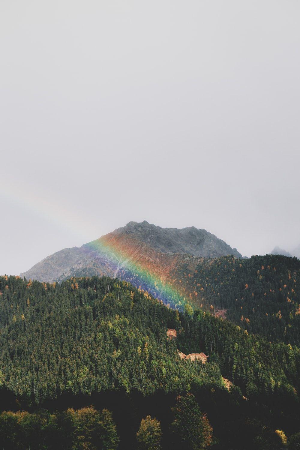 1000x1500 Rainbow Picture [HD]. Download .com