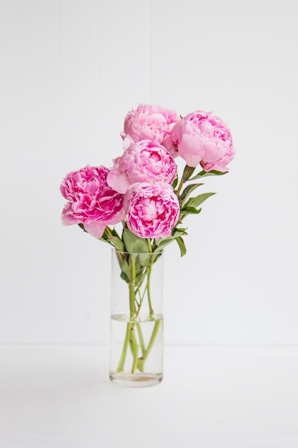 1000x1500 Peony Picture [HD]. Download .com