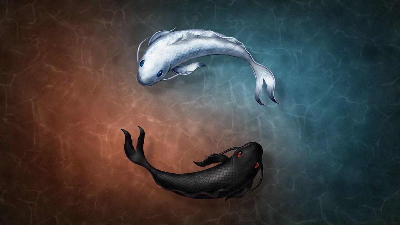 1280x720 Yin Yang Black and White Fish HD