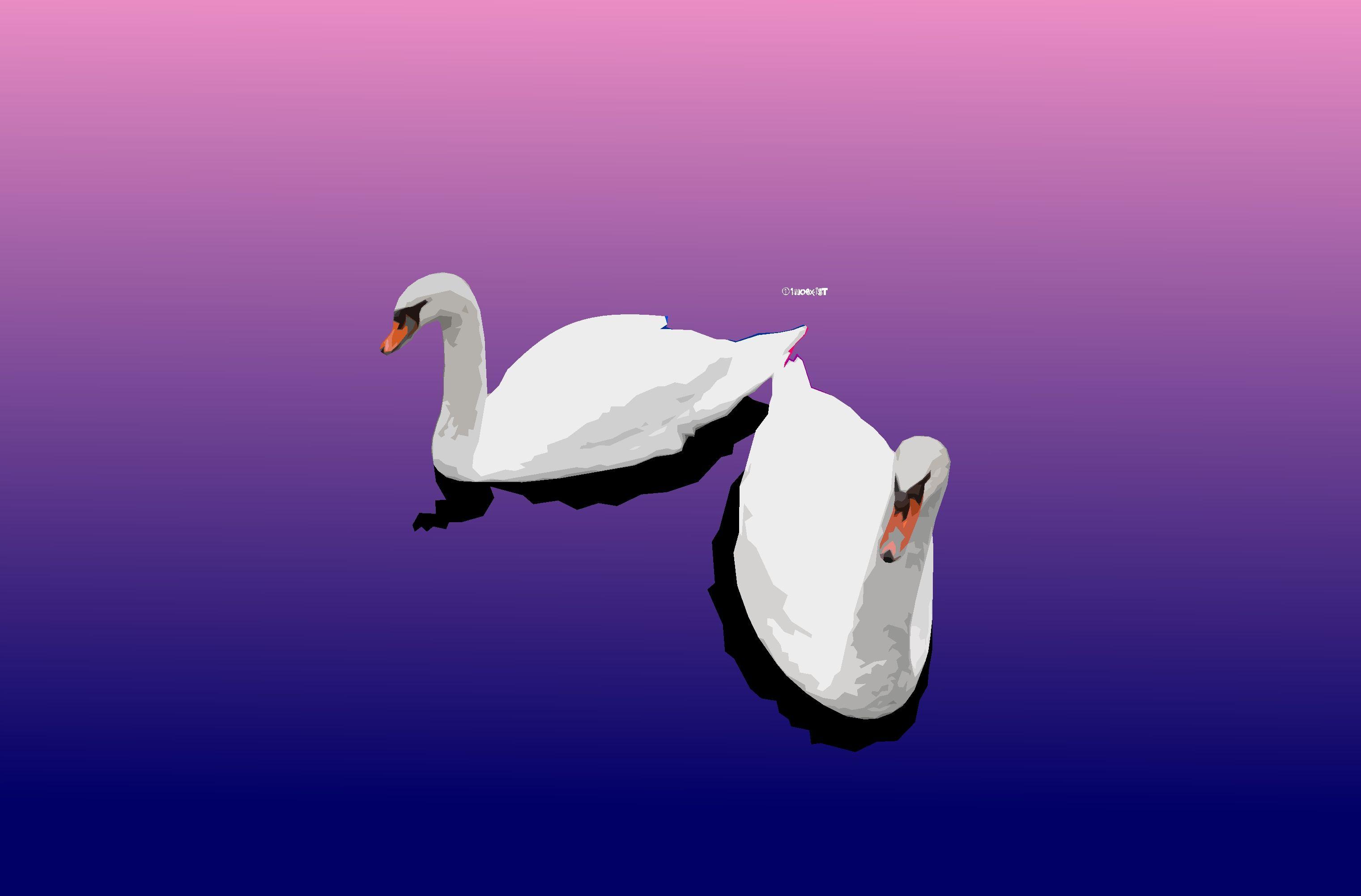 3042x2004 Artistic Bird Digital Art Minimalist .