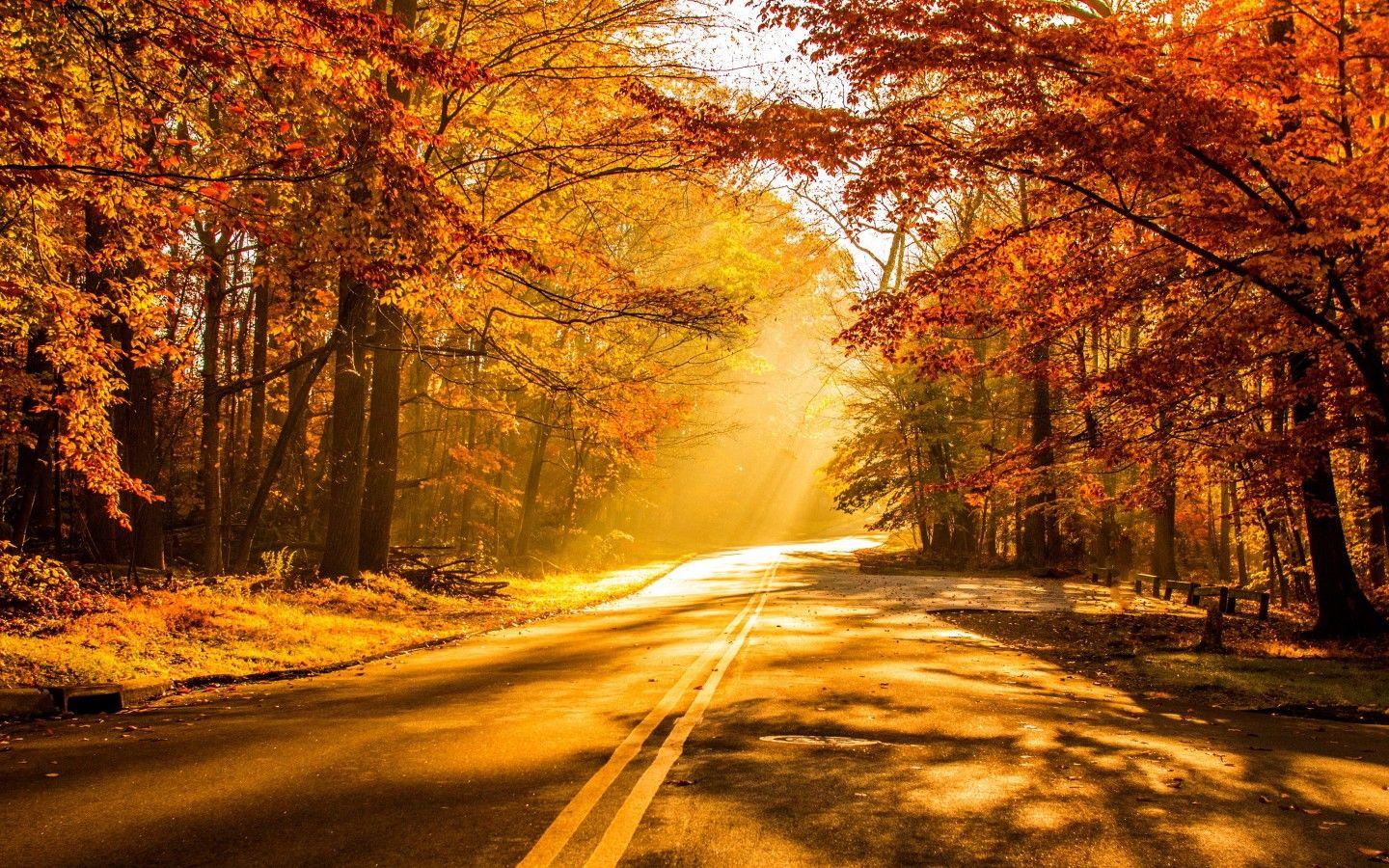 Autumn Wallpapers - Top Free Autumn Backgrounds - WallpaperAccess