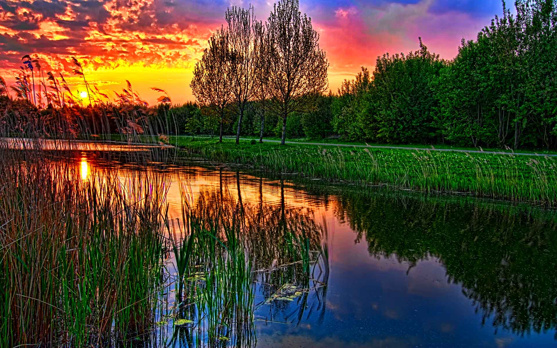 1920x1200 Bayou Wallpaper on .