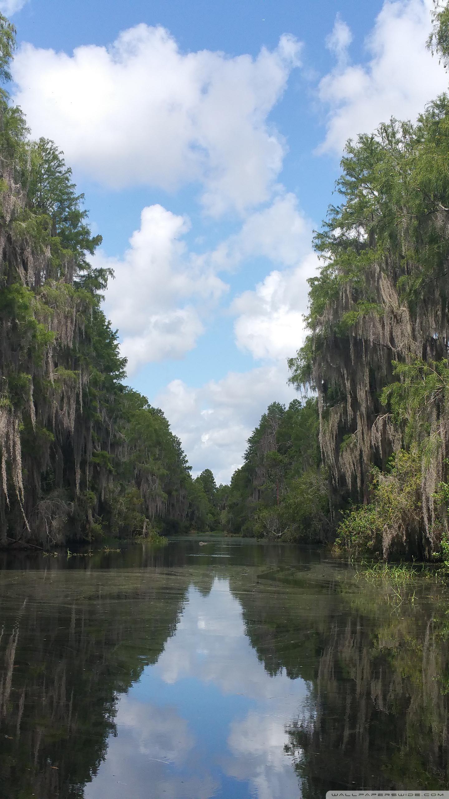 1440x2560 Okefenokee Swamp Ultra HD Desktop Background Wallpaper for 4K UHD TV : Multi Display, Dual Monitor : Tablet