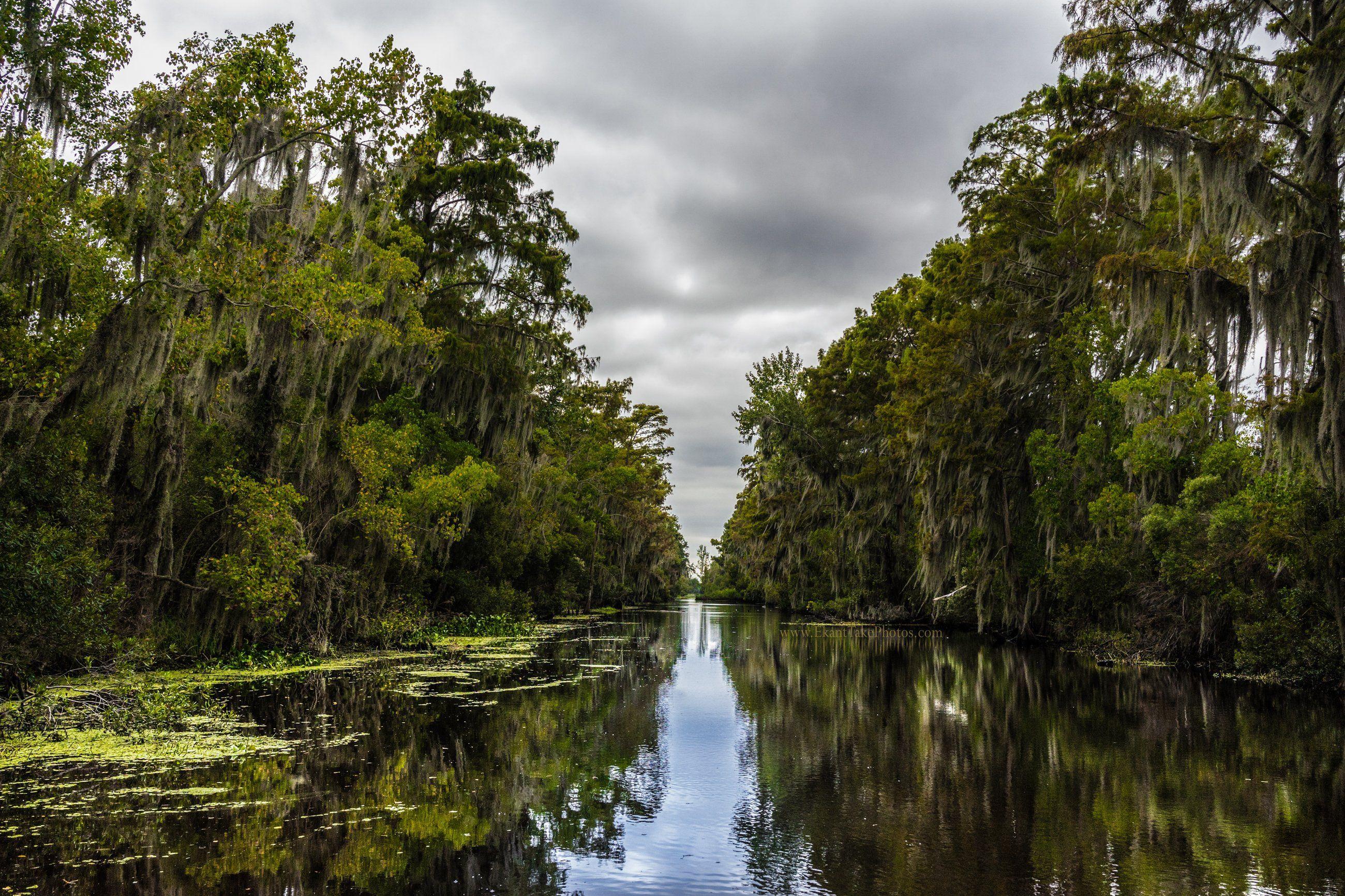 Bayou Wallpapers - Top Free Bayou Backgrounds - WallpaperAccess