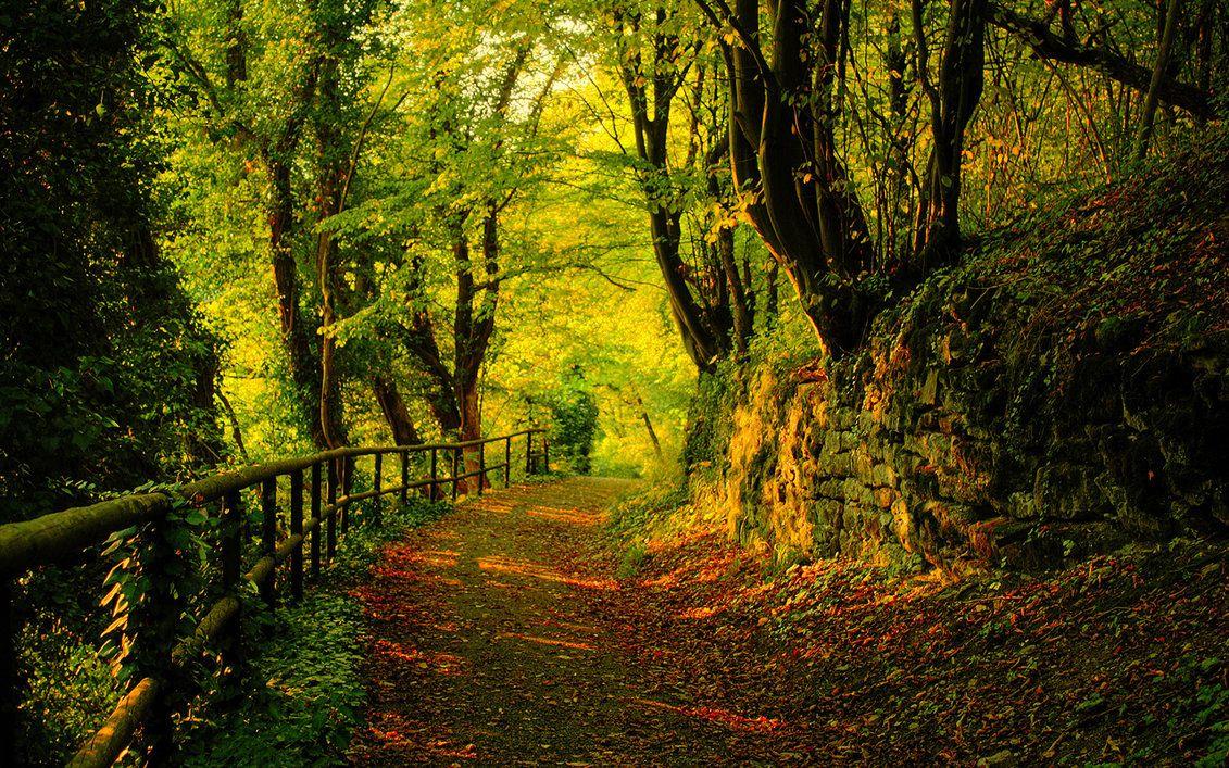 1131x707 Autumn Wallpaper