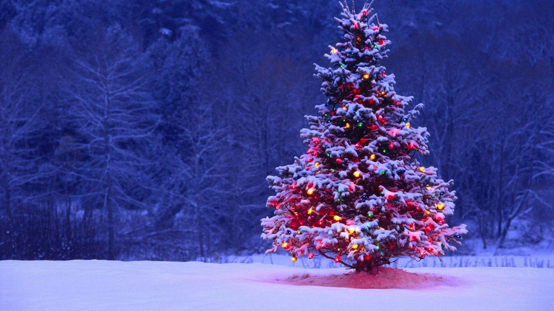 1920x1080 Christmas Landscape Wallpaper .