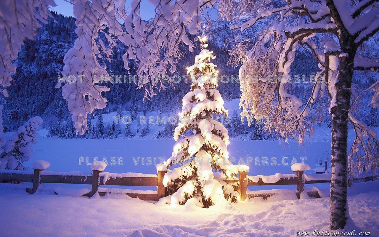 1280x800 christmas landscape snow snowy tree foresthdwallpaper.cat