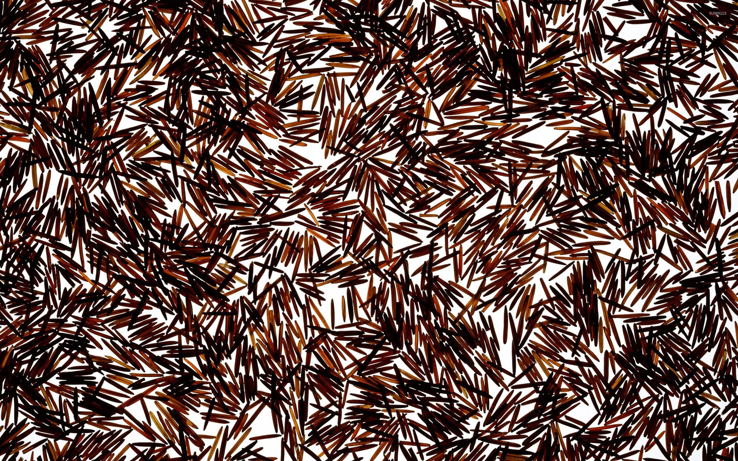 2560x1600 Brown rice wallpaper .