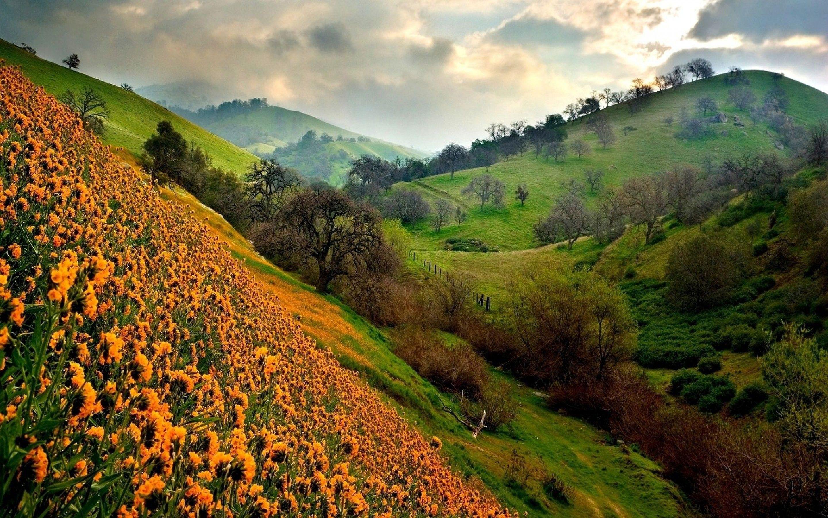 2880x1800 Valley Of Flowers HD .
