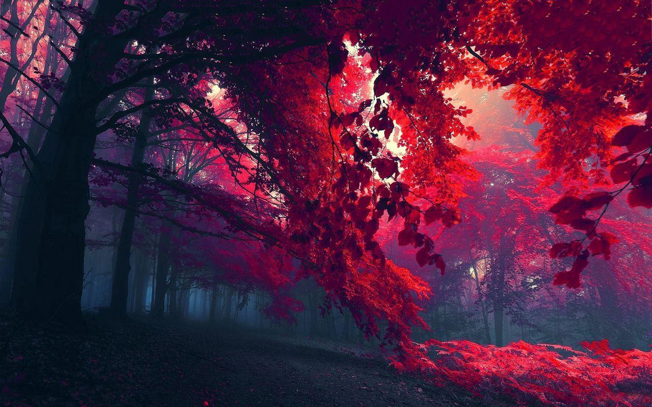 1280x800 Tumblr Wallpaper Group Wallpaper