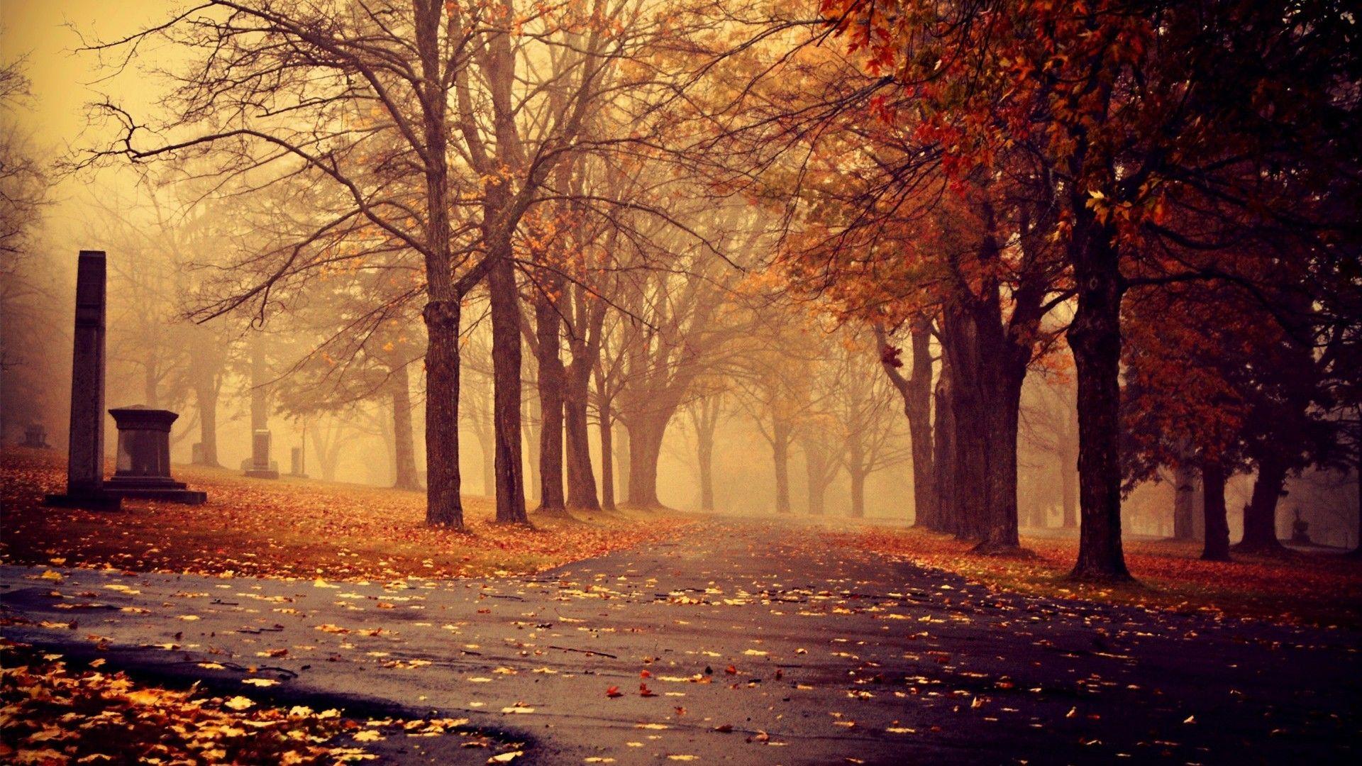 1920x1080 nice beautiful place