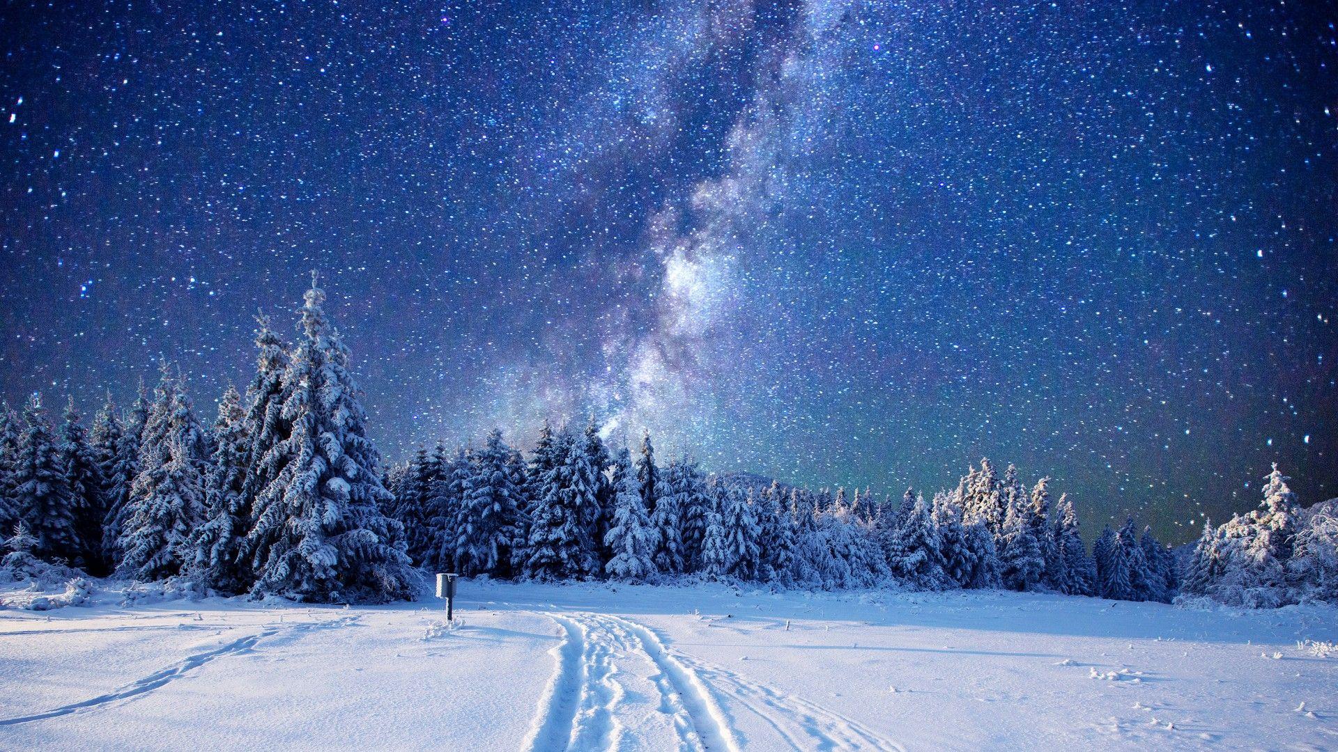 1920x1080 Wallpaper forest, snow, winter, sky, stars, night, 5k, Nature