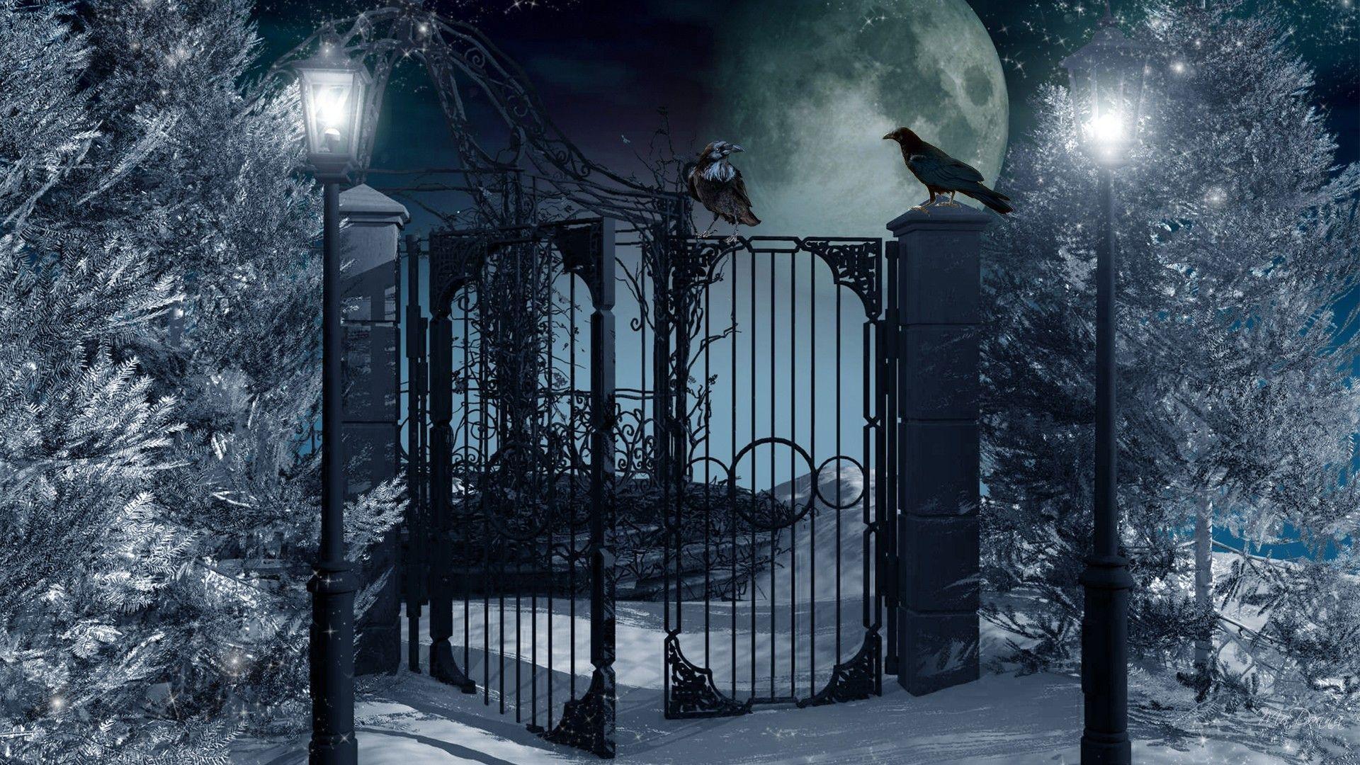 1920x1080 Winter Night Wallpaper Group Wallpaper