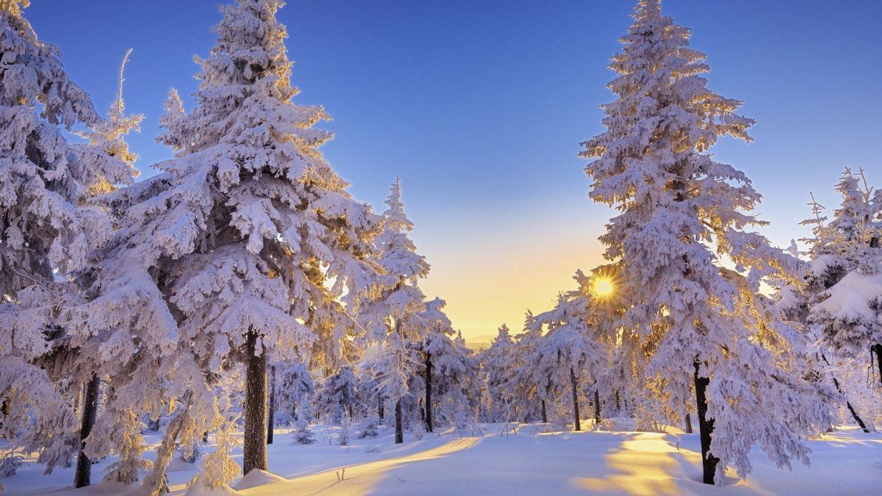 Beautiful Snow Forest Wallpapers - Top Free Beautiful Snow Forest ...