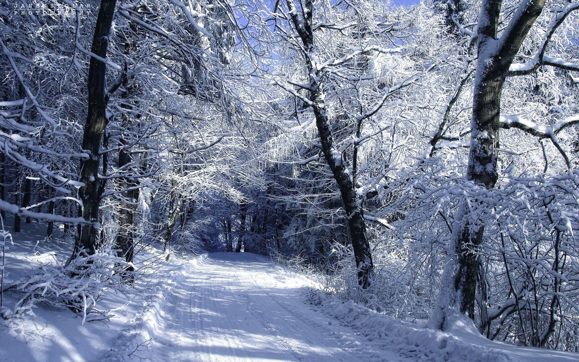 1920x1200 Snowy Forest Road Winter wallpaper .