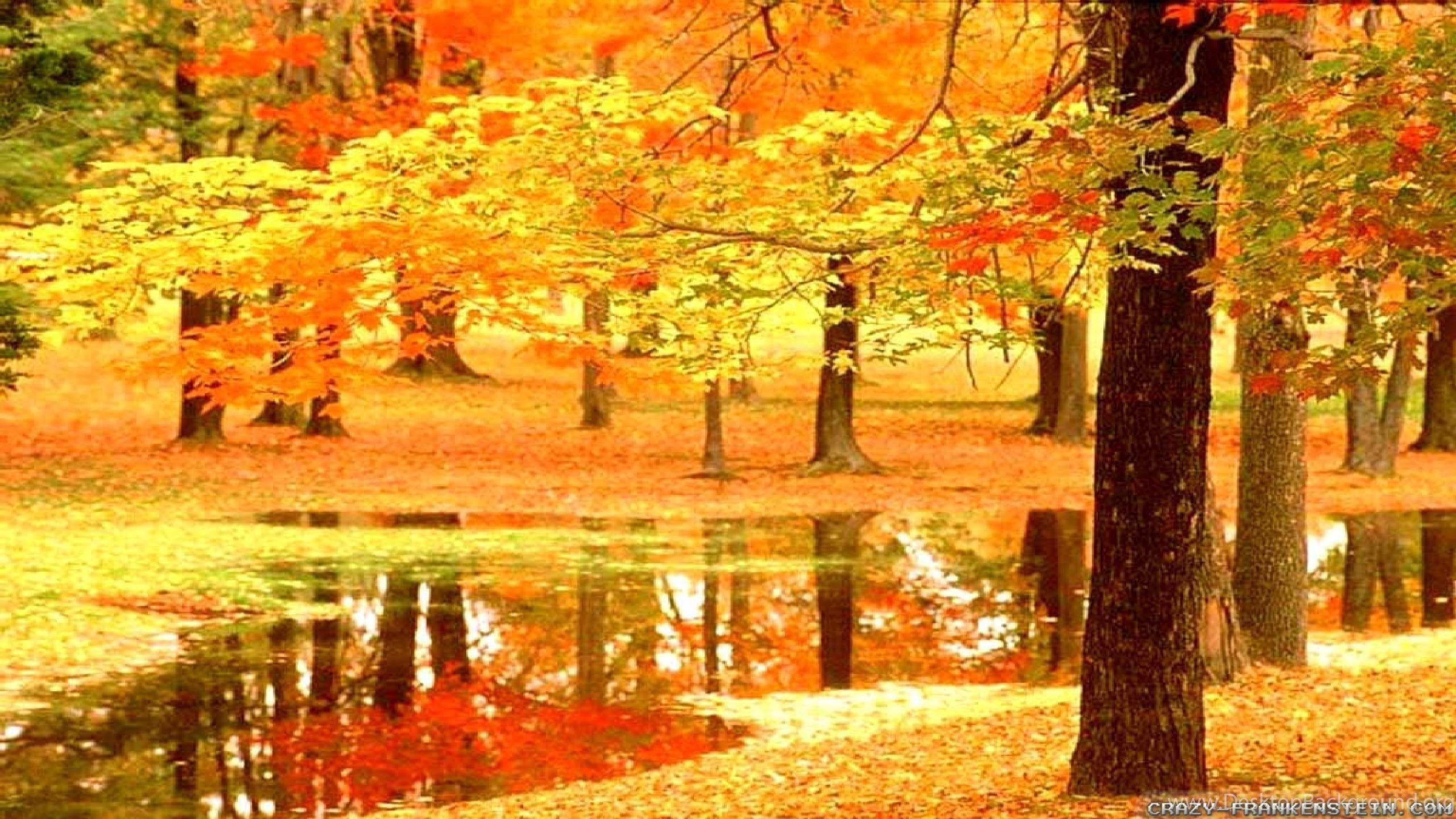 2560x1440 France Autumn