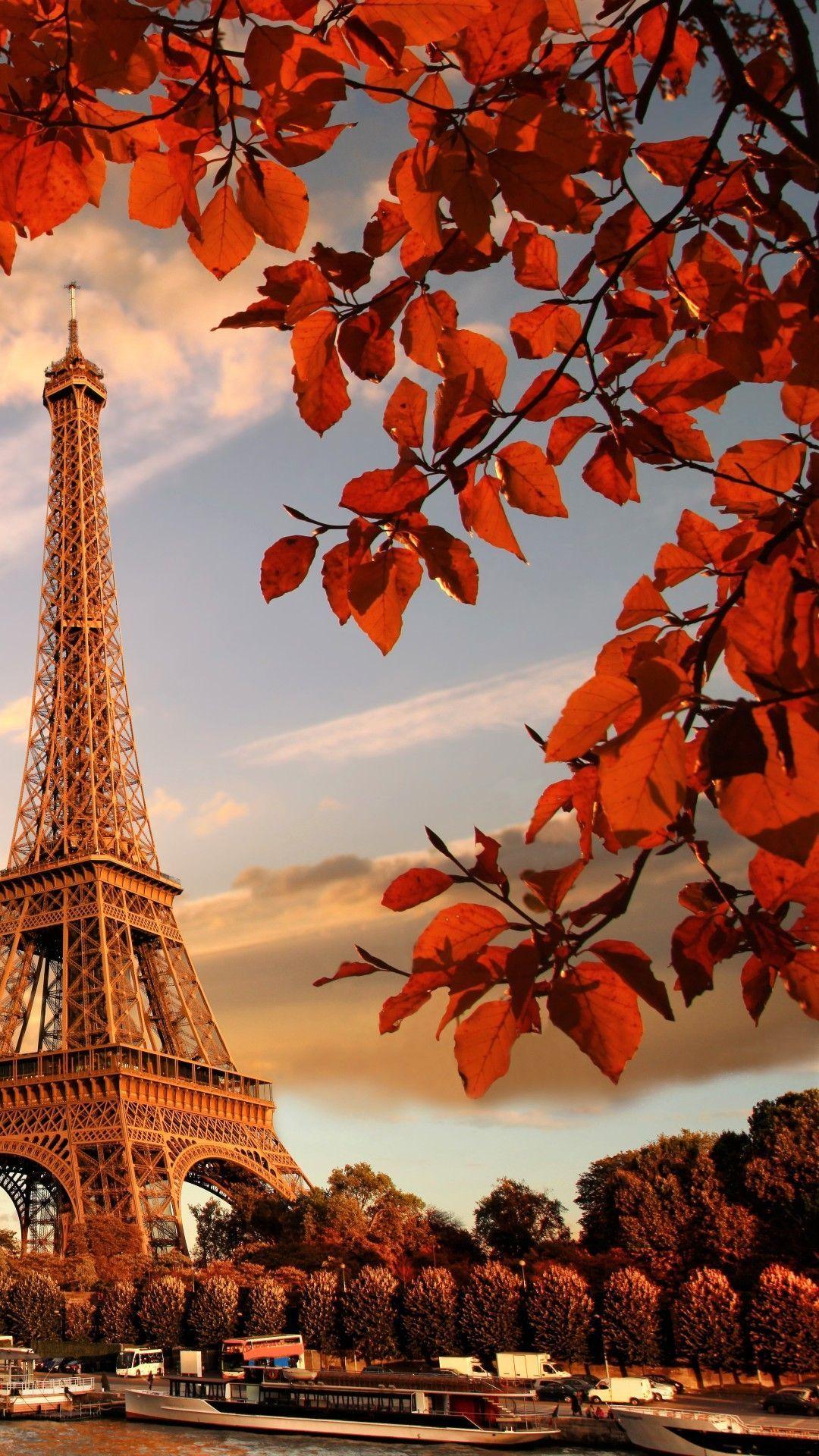 1080x1920 Eiffel tower in autumn france paris .com
