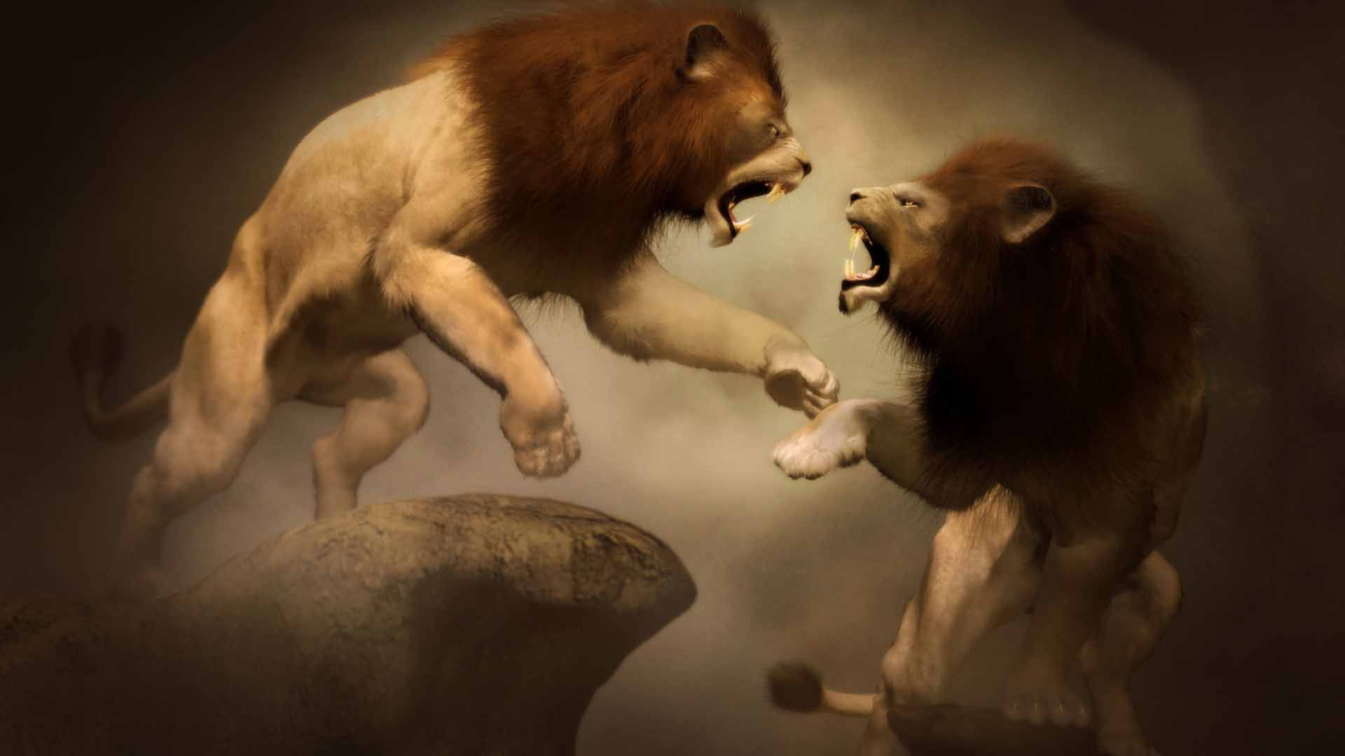 1920x1080 Artistic Lions HD Lion Wallpaper