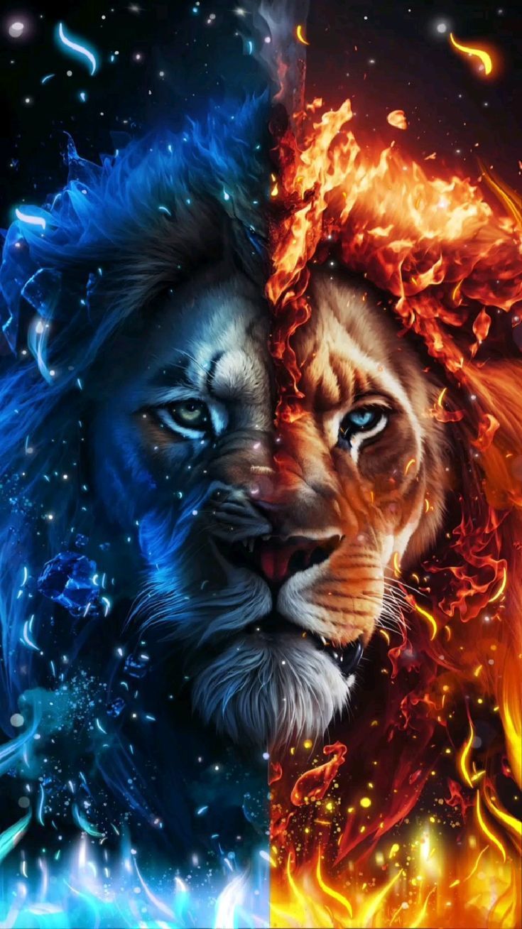 735x1308 Two Lions Facing Each Other with Fire and Ice. White lion with fire background, Fire and ice lion, Cool lion background