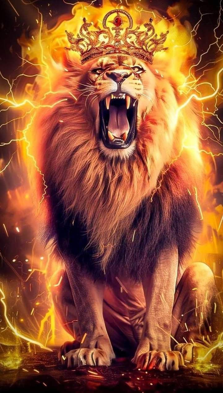 720x1270 Lion Wallpaper for Lightroom. Fantasy creature design ideas, Fantasy lion art, Fire and lightning lion