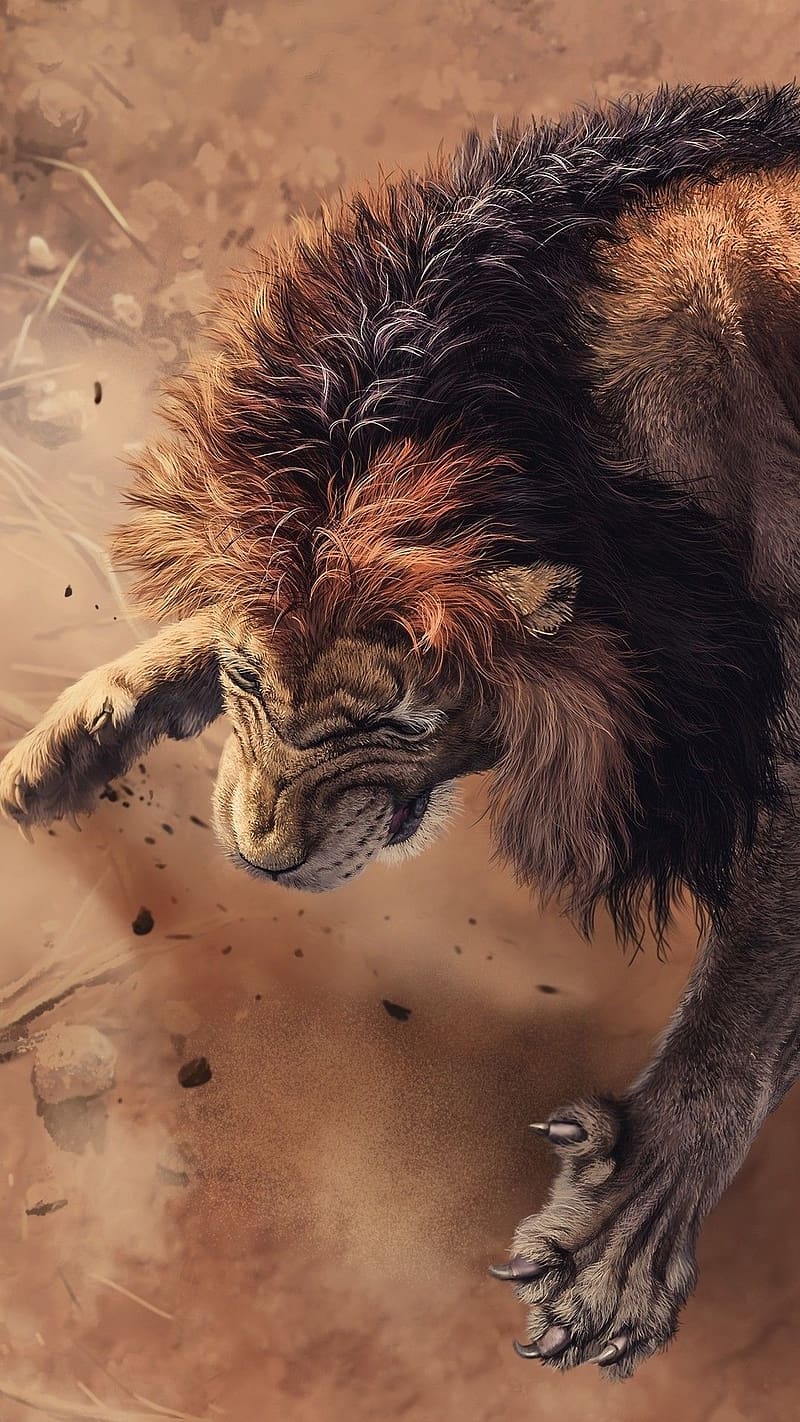 800x1422 HD fight with a lion wallpaper