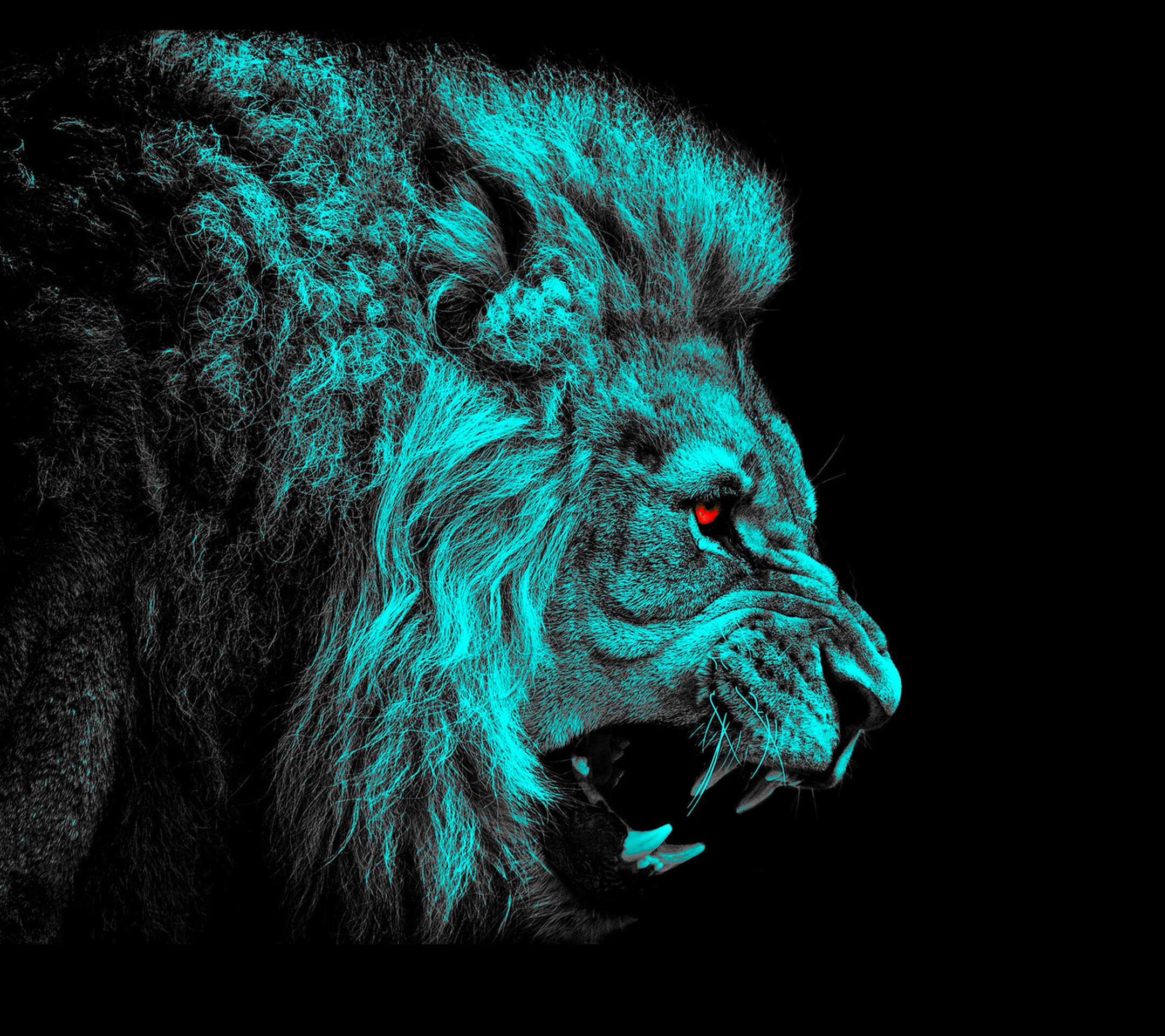 2160x1920 Wallpaper HD Lions