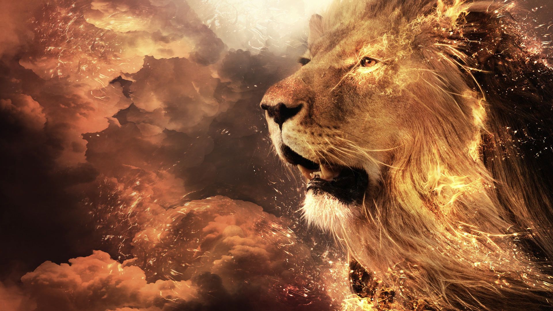1920x1080 Lion With Fire HD Lion Wallpaper