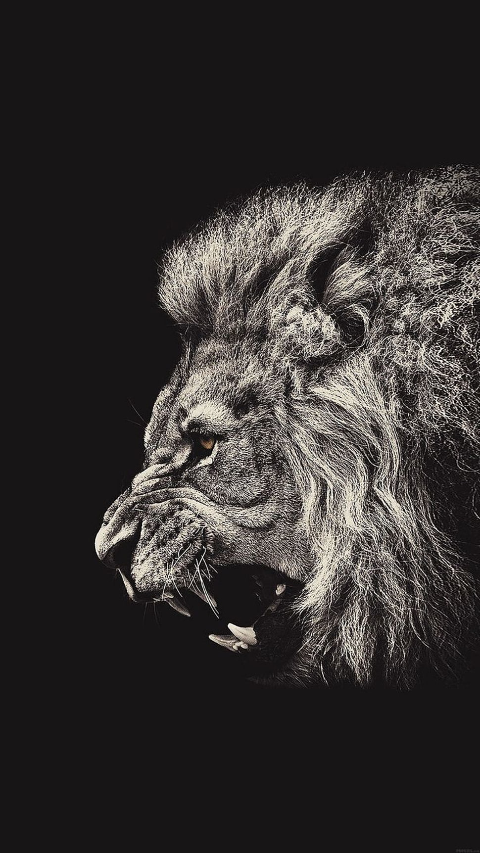 970x1724 Gray and black lion illustration HD wallpaper