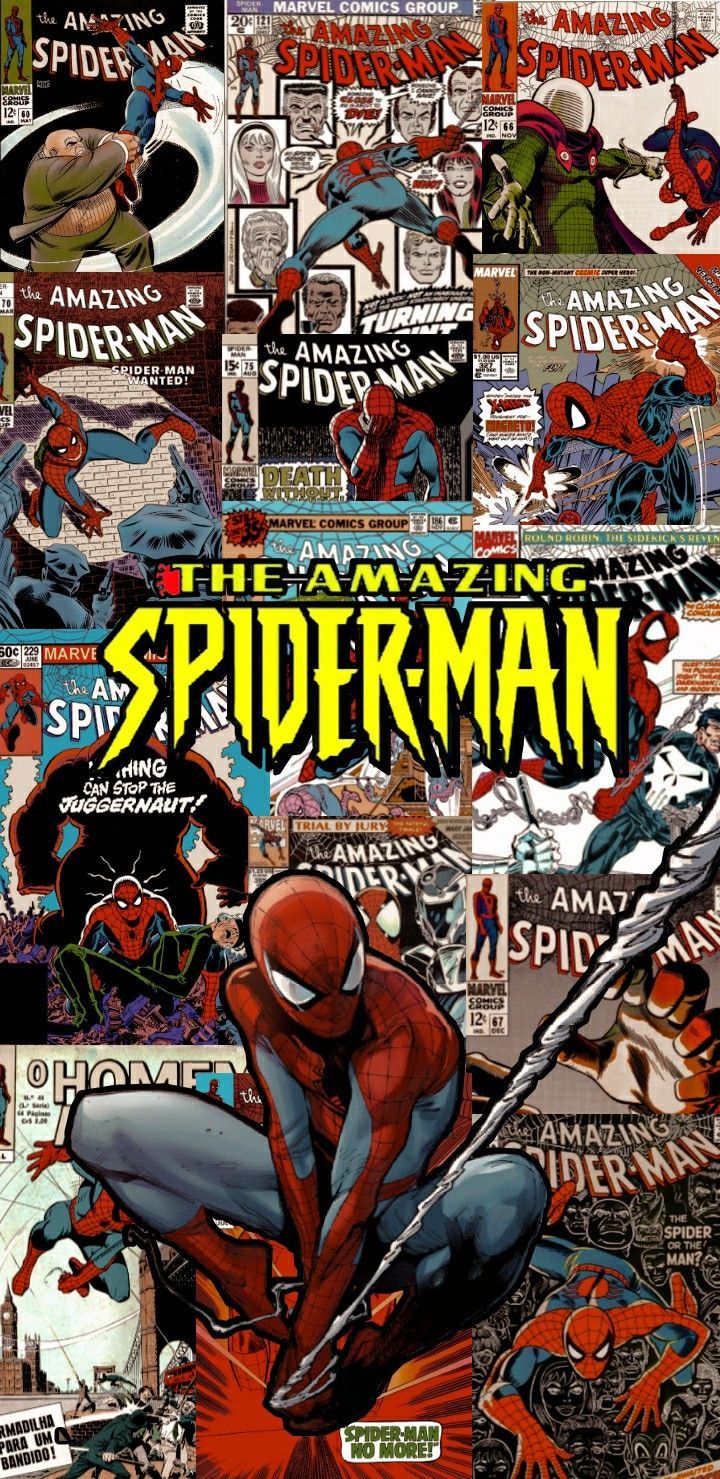 720x1479 Spider Man Wallpaper