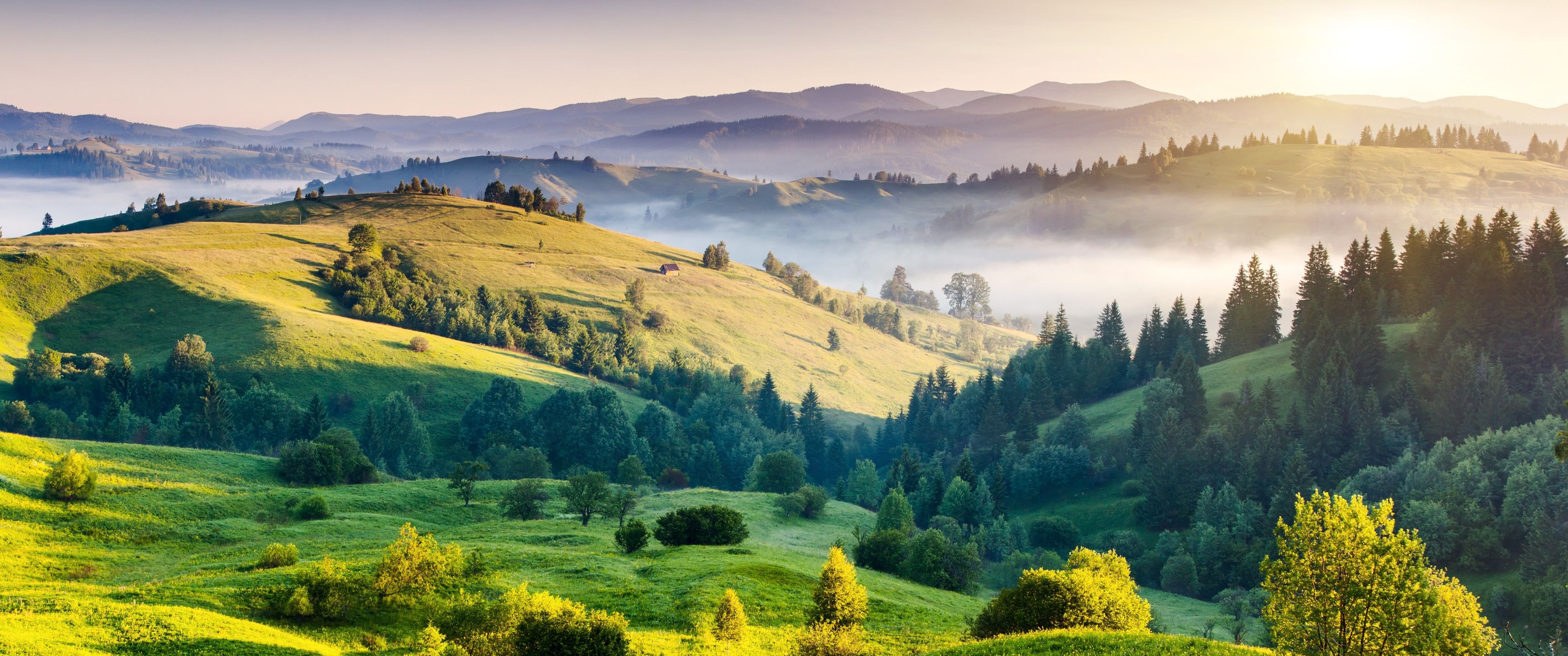 3440x1440 Nature Hills Trees Landscape Horizon UltraWide Quad HD 1440P , HD 4k Wallpaper, Image, Background, Photos and Picture