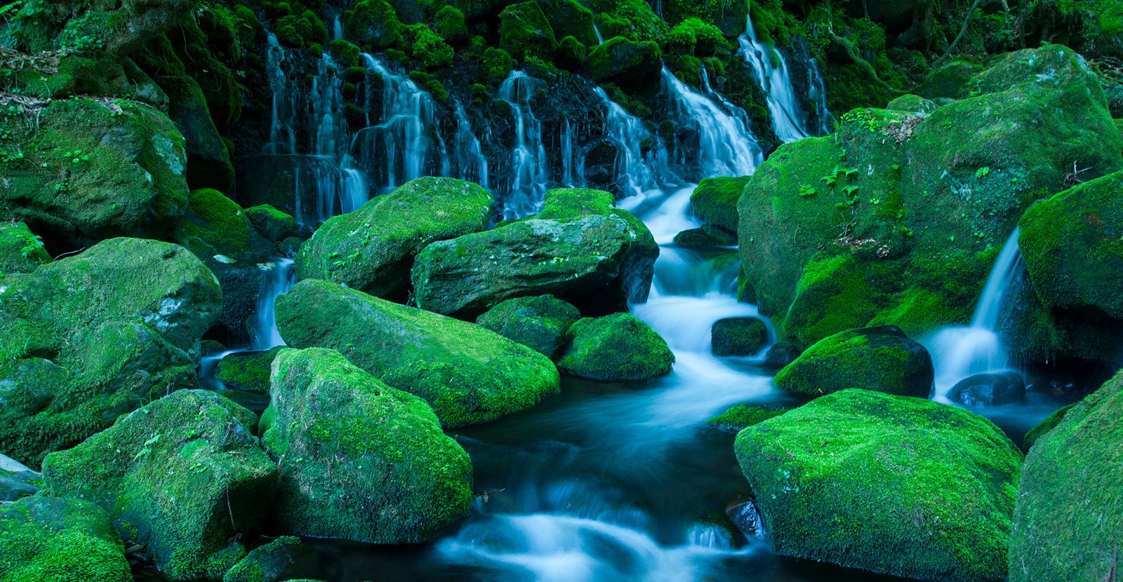 1600x830 Challenge for Change Vol.7: AQUOS 4K. Sharp Corporation