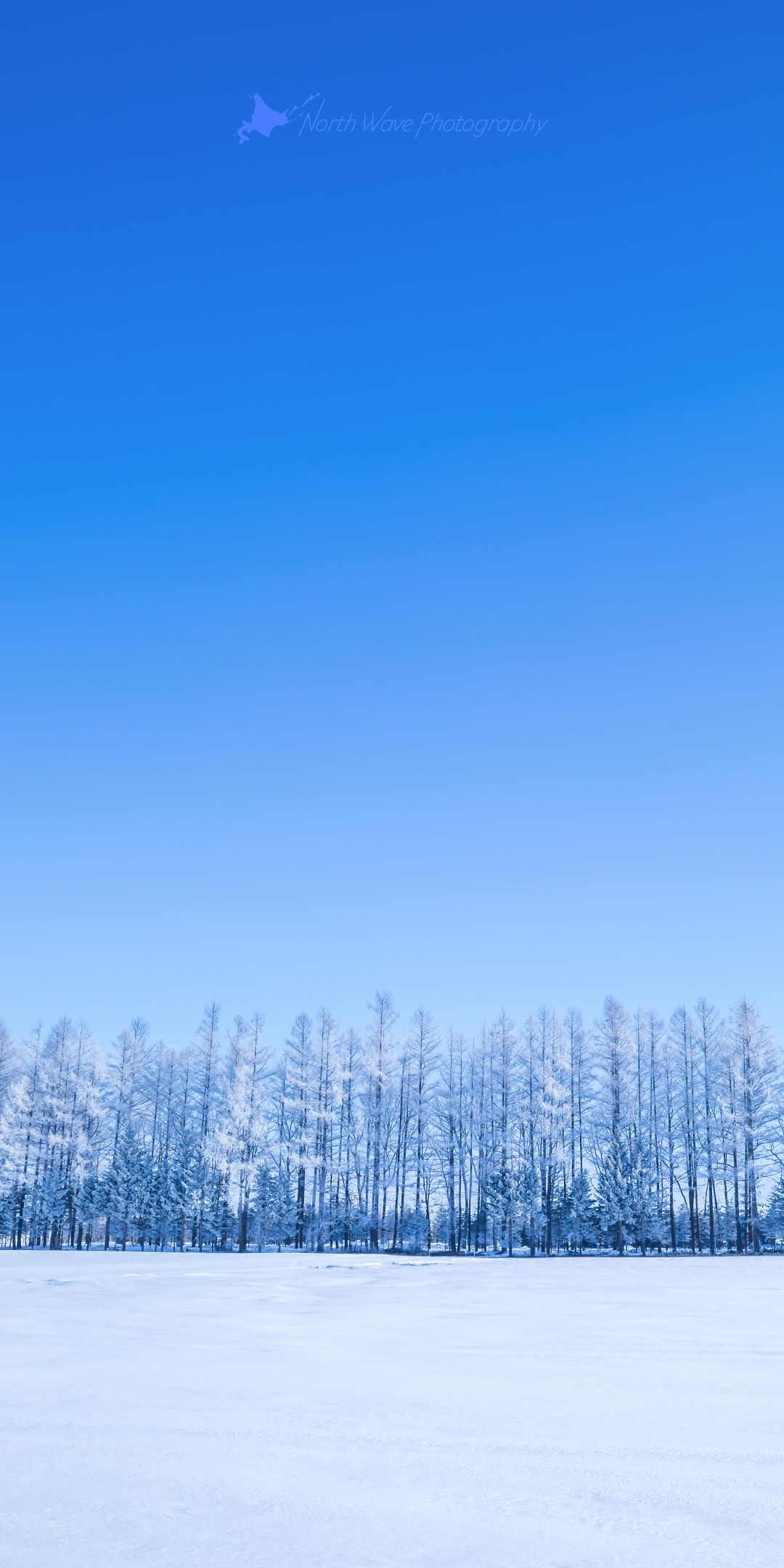 1080x2160 北海道の風景壁紙「白い霧氷と青空の朝」No.57 Wave Photography
