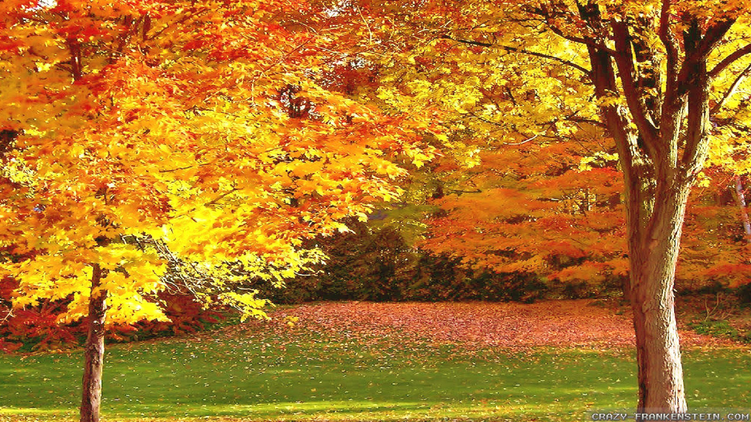 France Autumn Wallpapers - Top Free France Autumn Backgrounds 