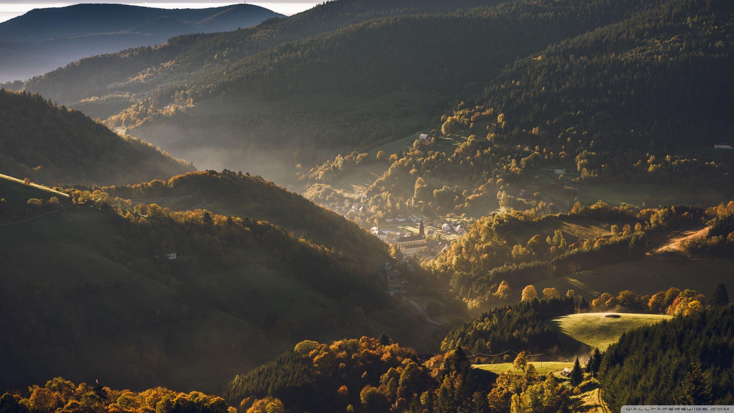 2560x1440 Free download Vosges Mountains Alsace .