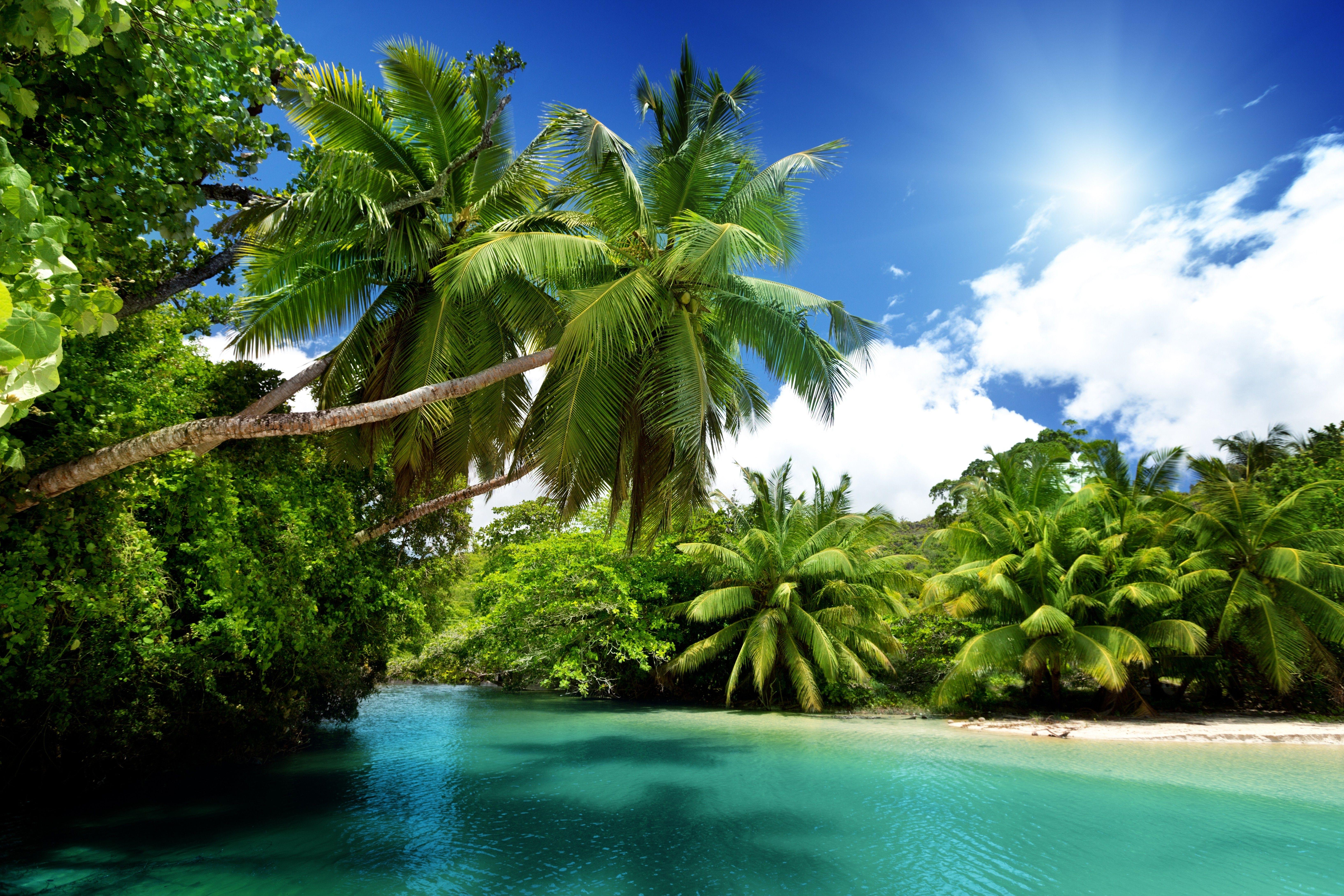 Paradise Wallpapers Top Free Paradise Backgrounds Wallpaperaccess