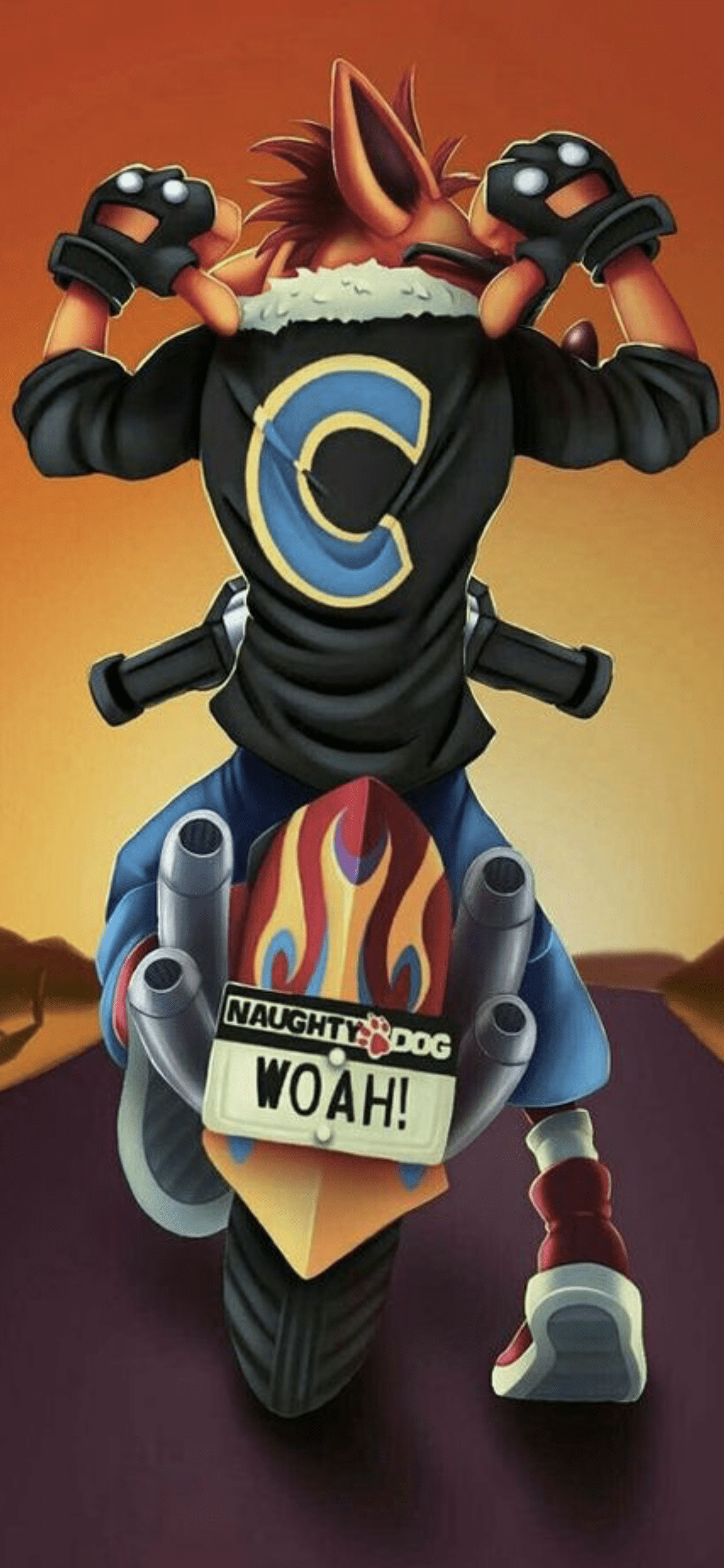 1125x2436 Crash bandicoot ideas. crash .com