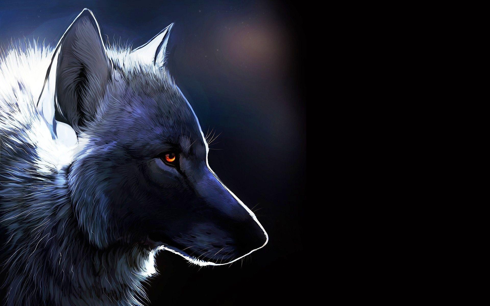 1920x1200 Cool Animal Wallpaper background .