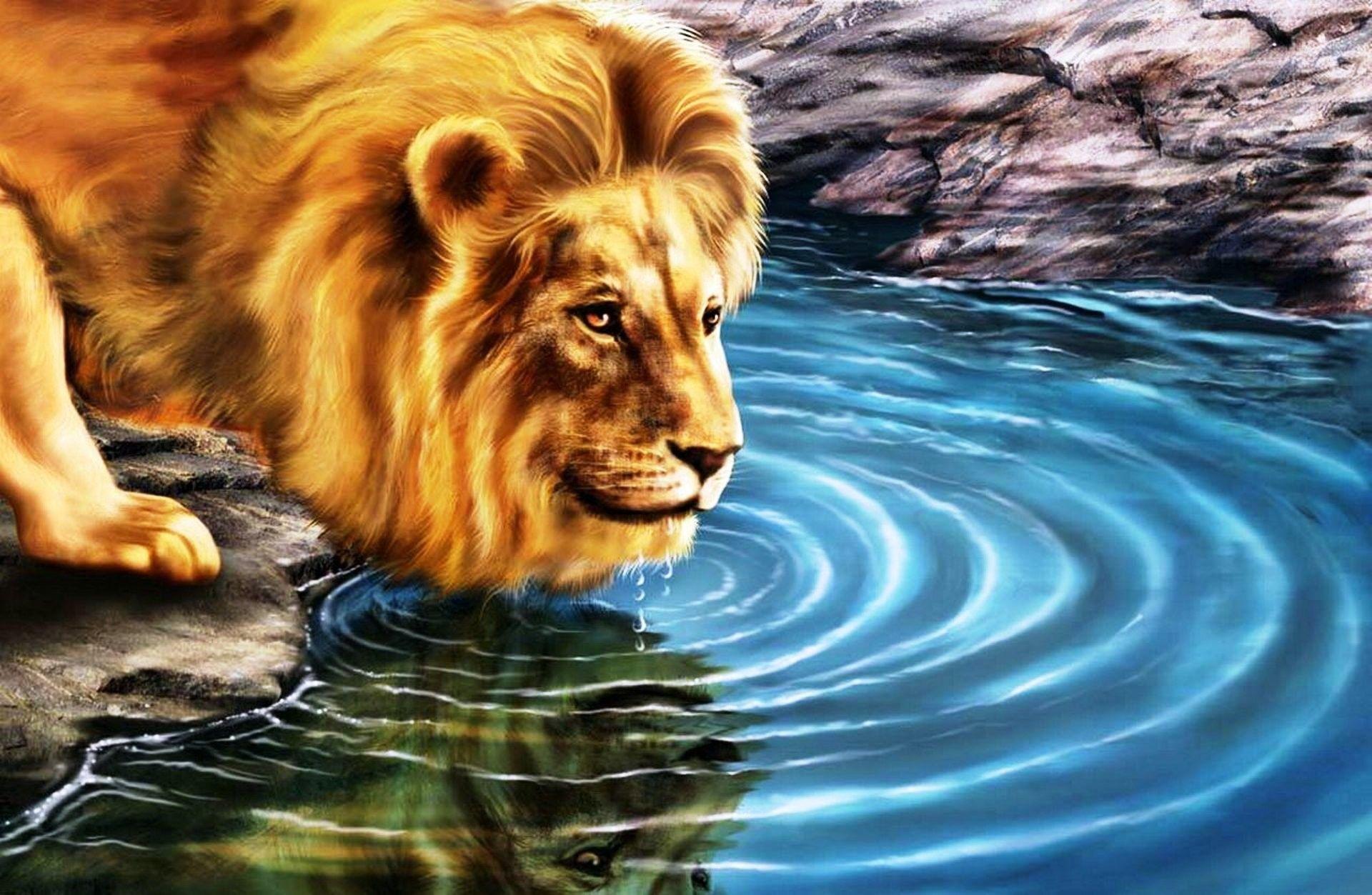 1920x1253 The Best 3D Wallpaper background .