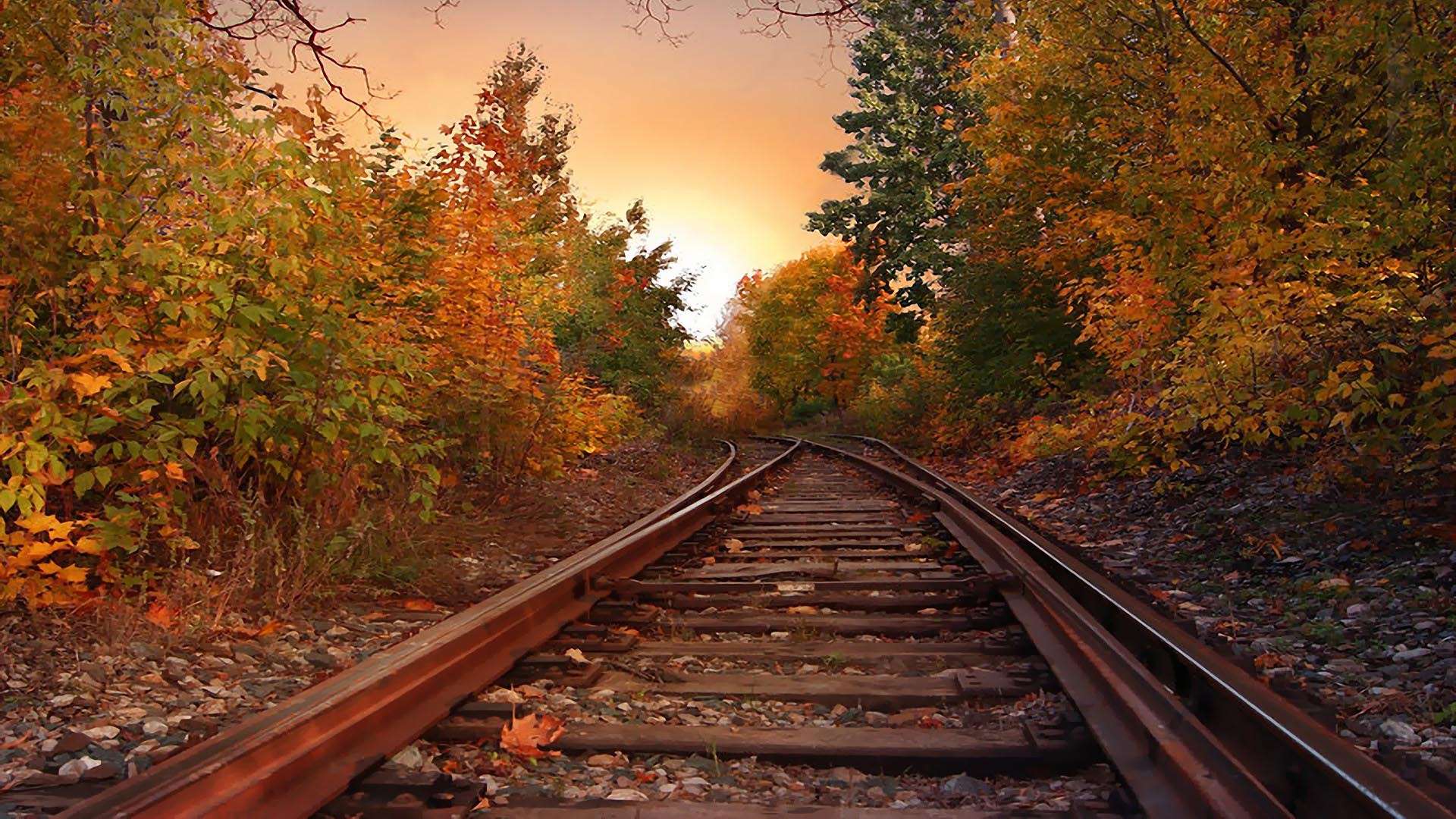 1920x1080 Autumn Trains