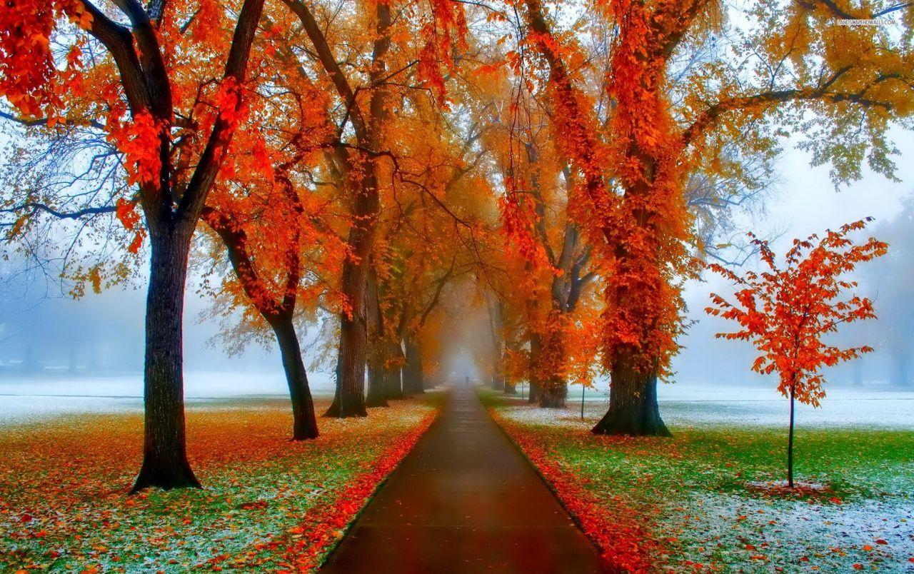 1280x804 First Snow & Late Autumn Wallpaper .