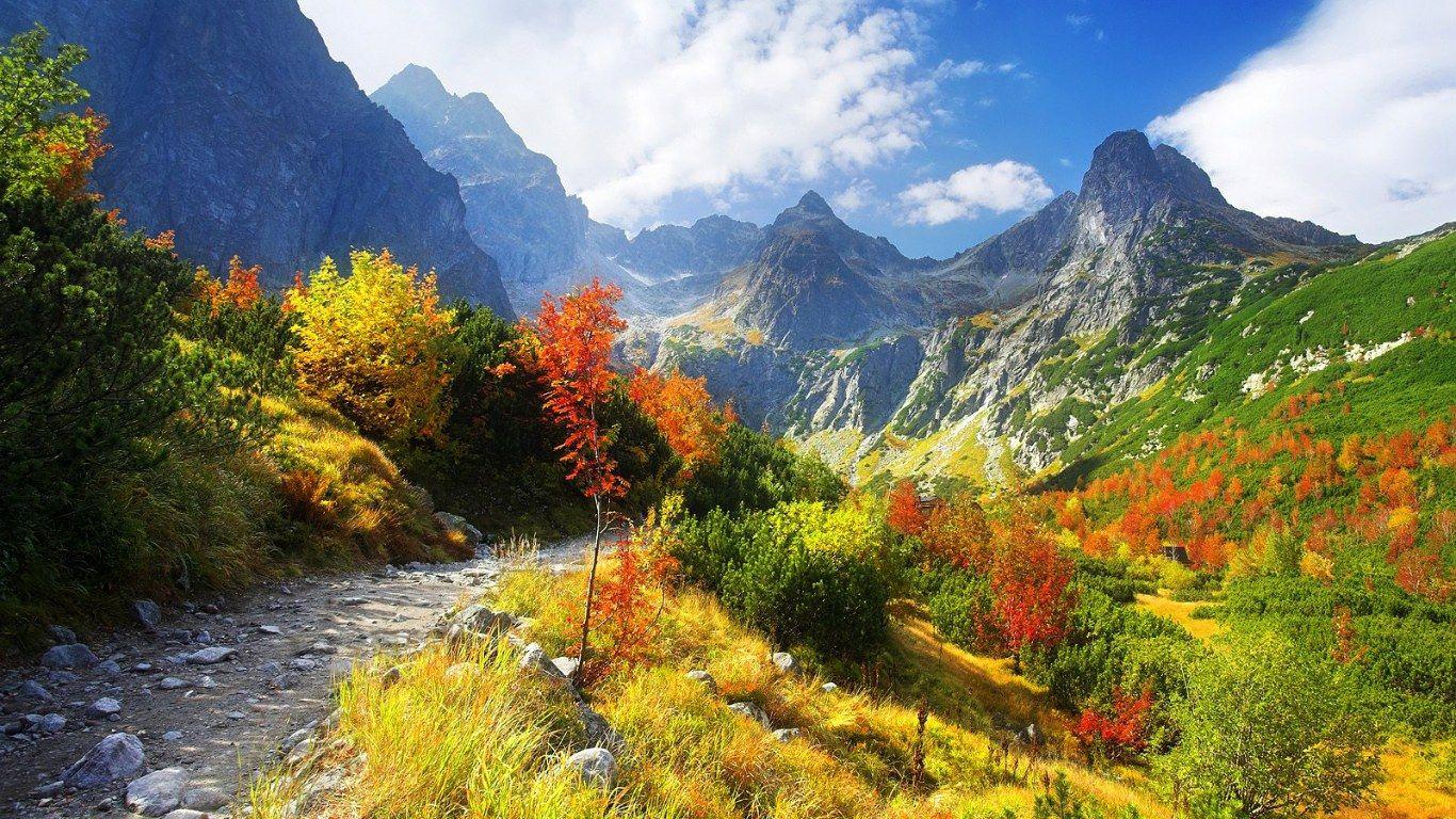 1366x768 Plain Wallpaper, Plain Color