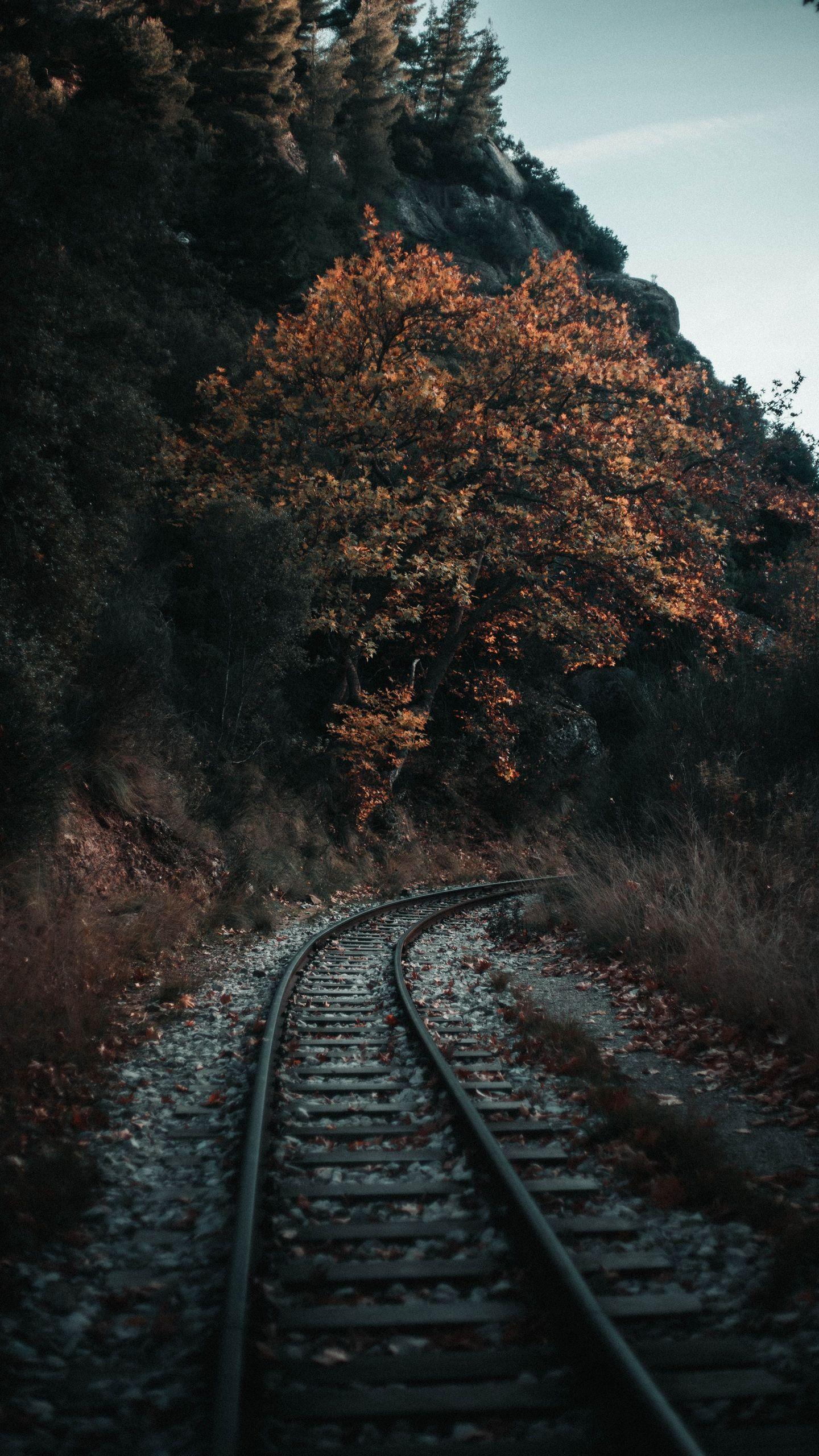 1440x2560 Autumn Phone Wallpaper