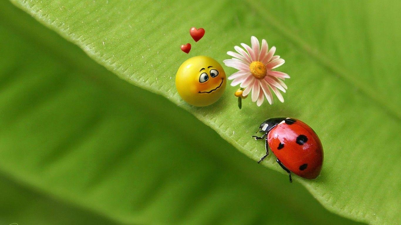 1366x768 Cute Desktop Background 3D Wallpaper .