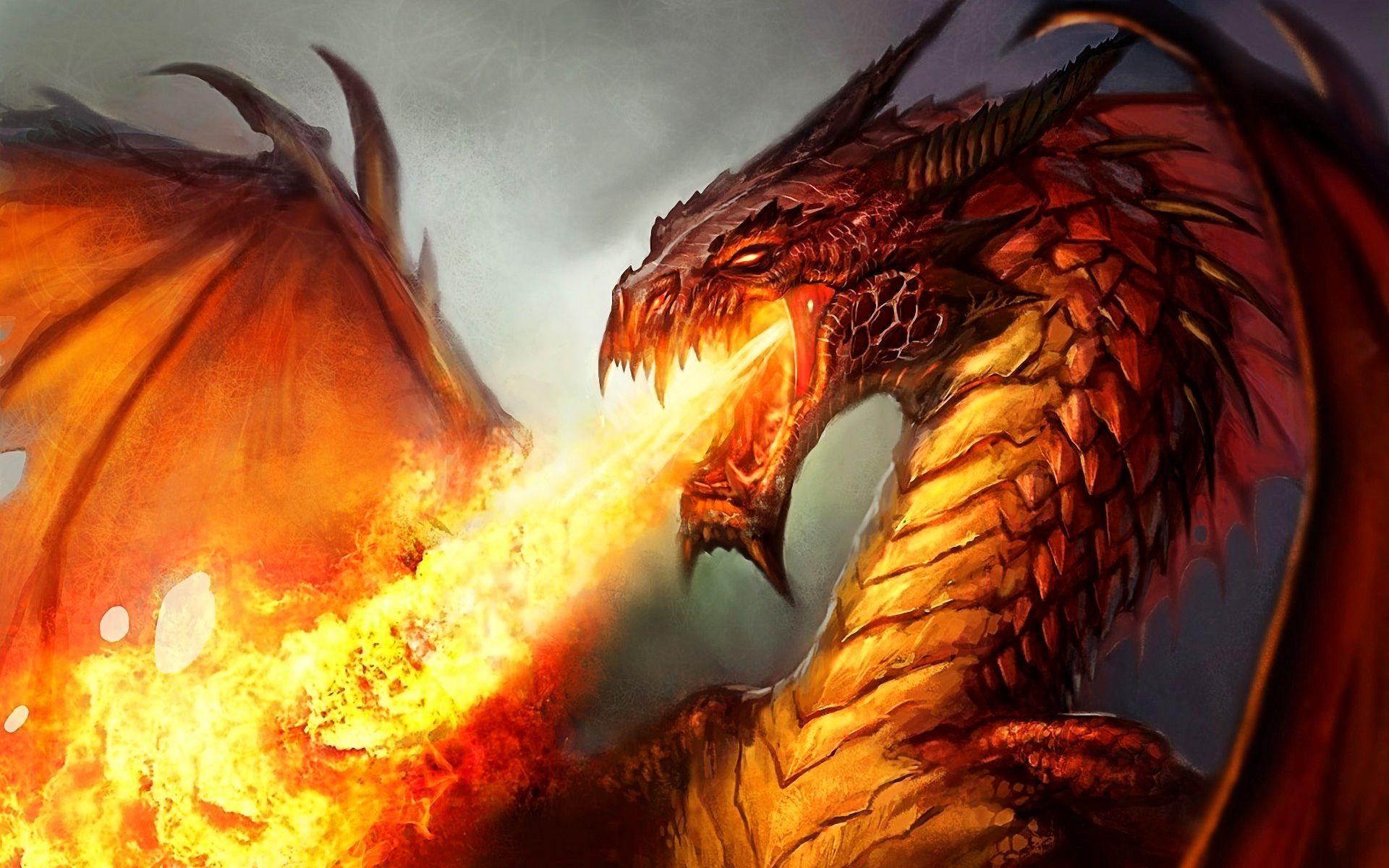 Amazing Fire Dragon Wallpapers Top Free Amazing Fire Dragon Backgrounds Wallpaperaccess 9770