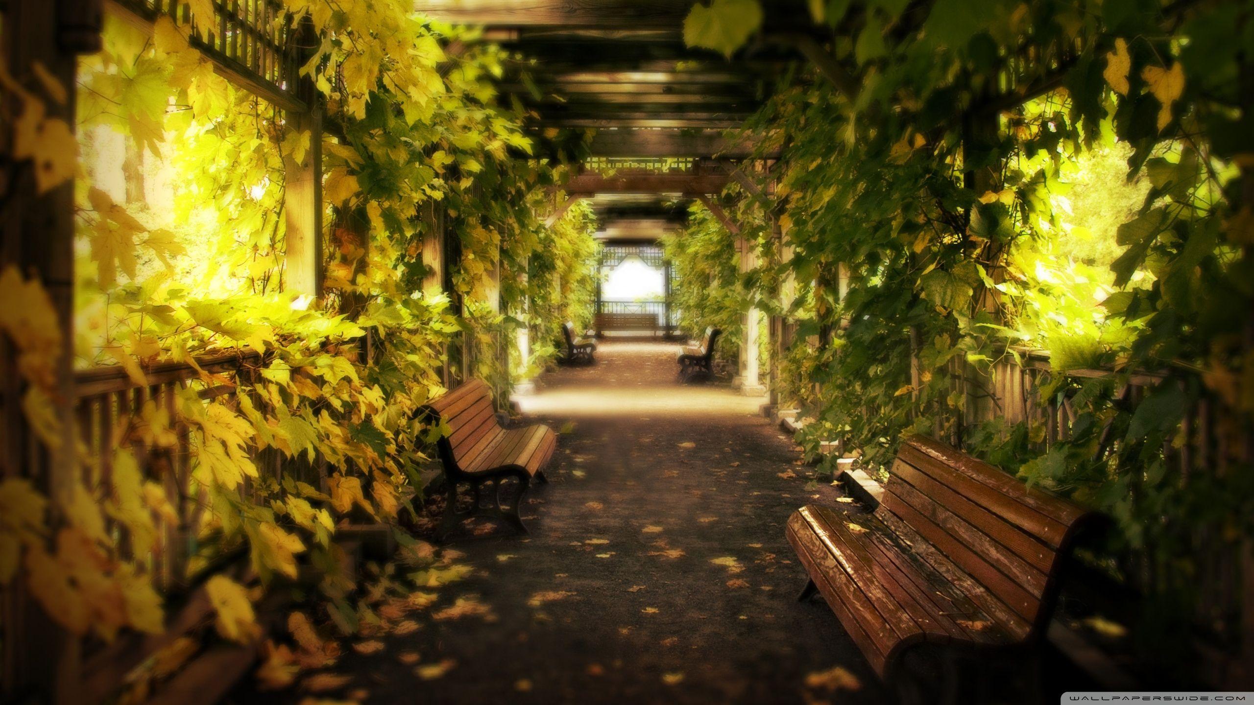 Back Alley Wallpapers - Top Free Back Alley Backgrounds - WallpaperAccess