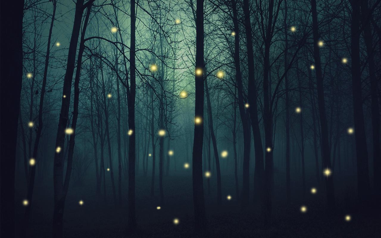 1280x800 Fireflies Wallpaper HD